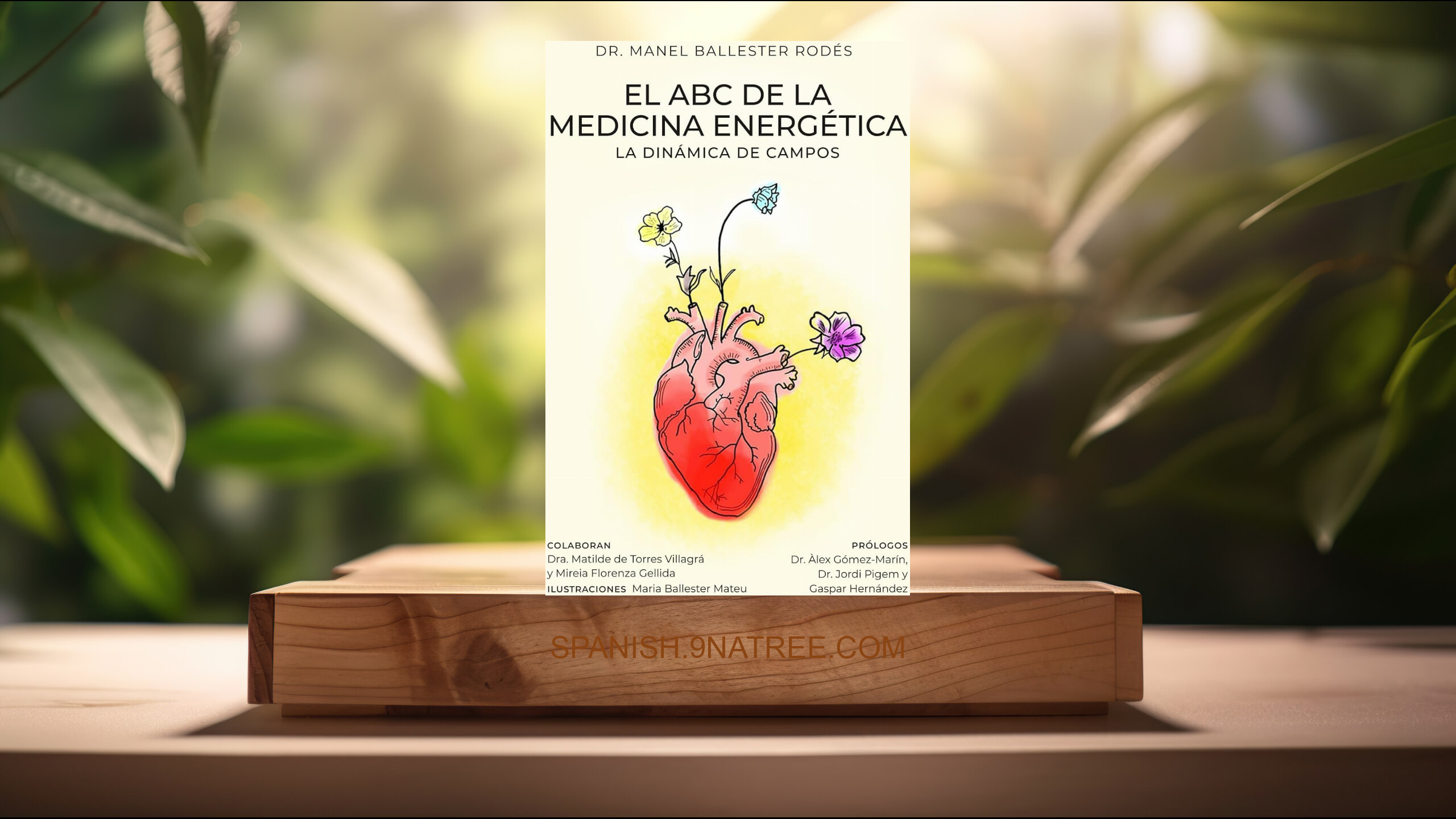 [Reseña] El ABC de la medicina energética: La dinámica de campos (Manel Ballester Rodés) Resumida.