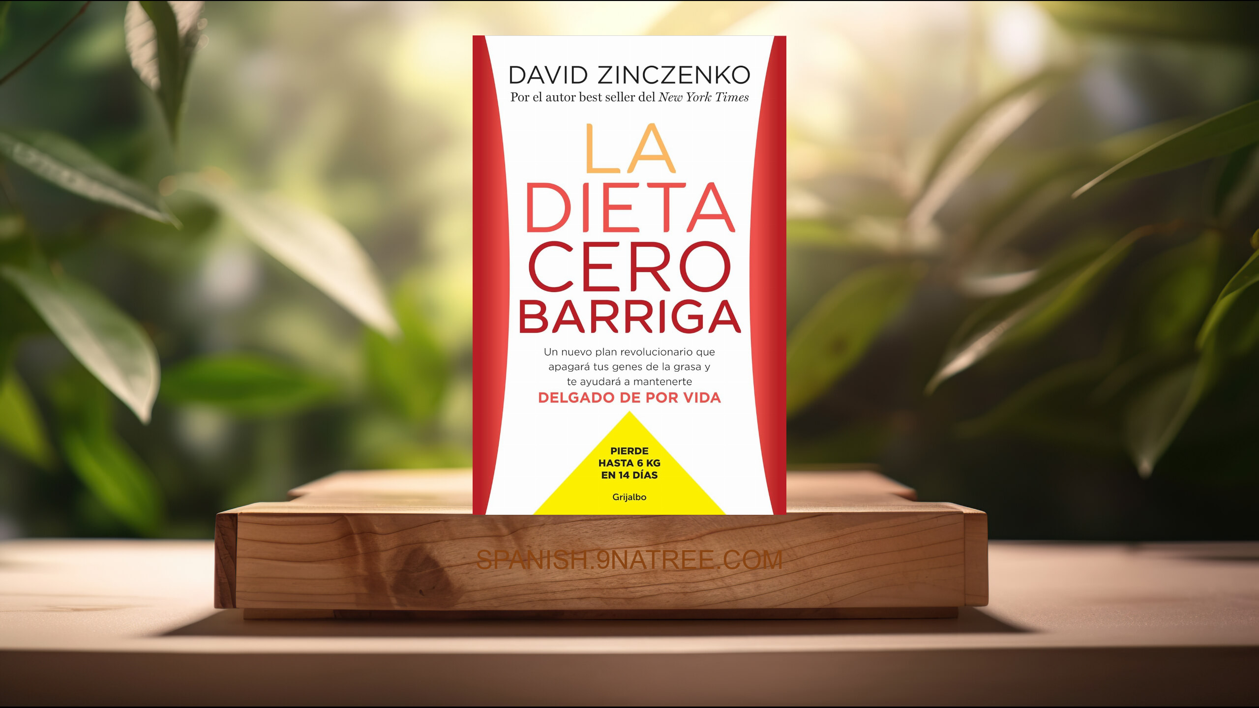 [Reseña] La dieta cero barriga (David Zinczenko) Resumida.