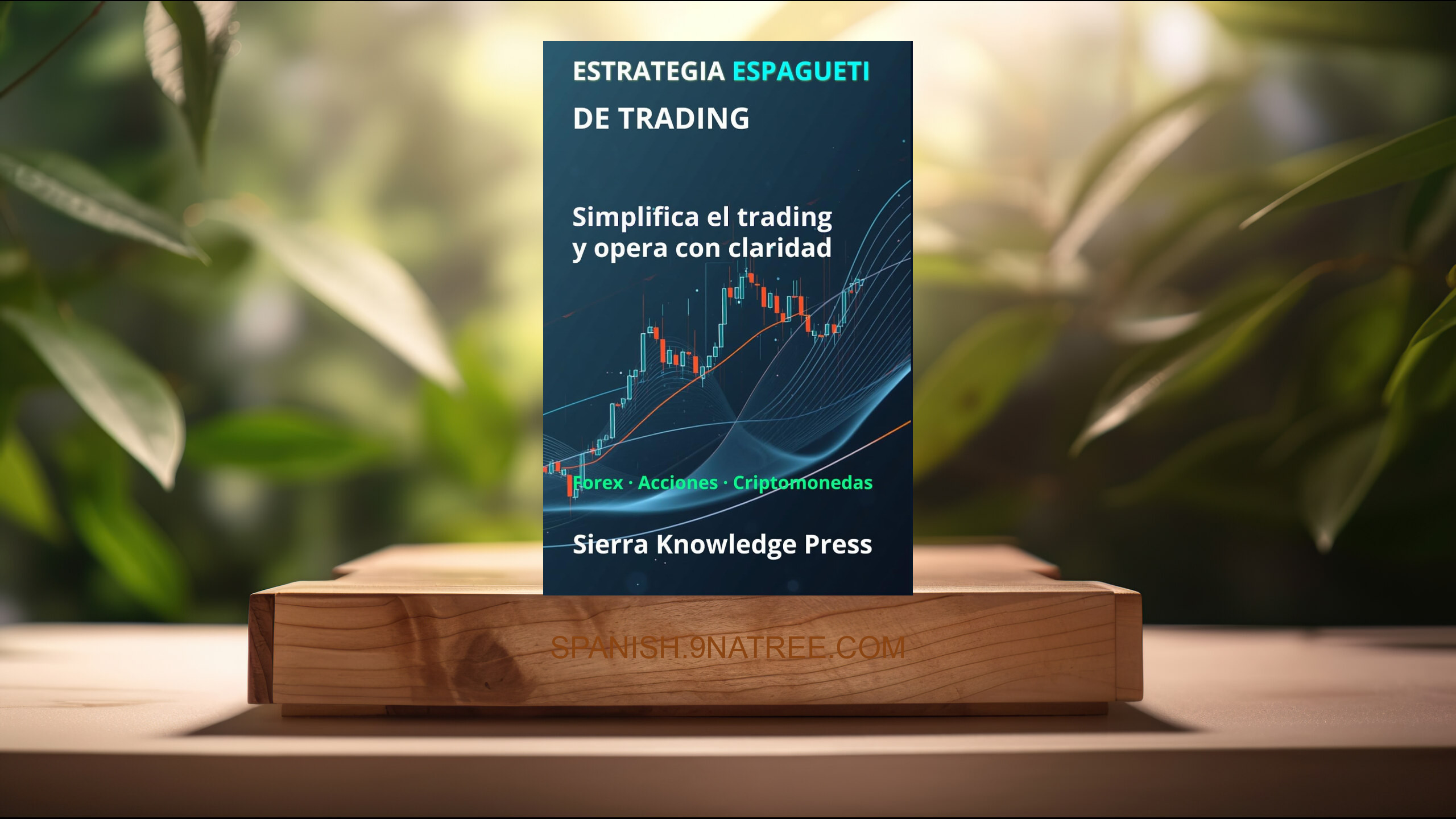 [Reseña] Estrategia Espagueti de Trading (Miguel Ángel Sierra) Resumida.