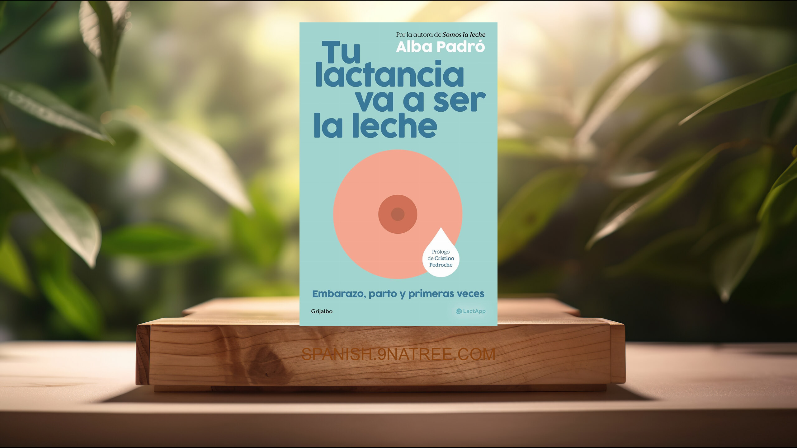 [Reseña] Tu lactancia va a ser la leche: Embarazo, parto y primeras veces  (Alba Padró) Resumida.