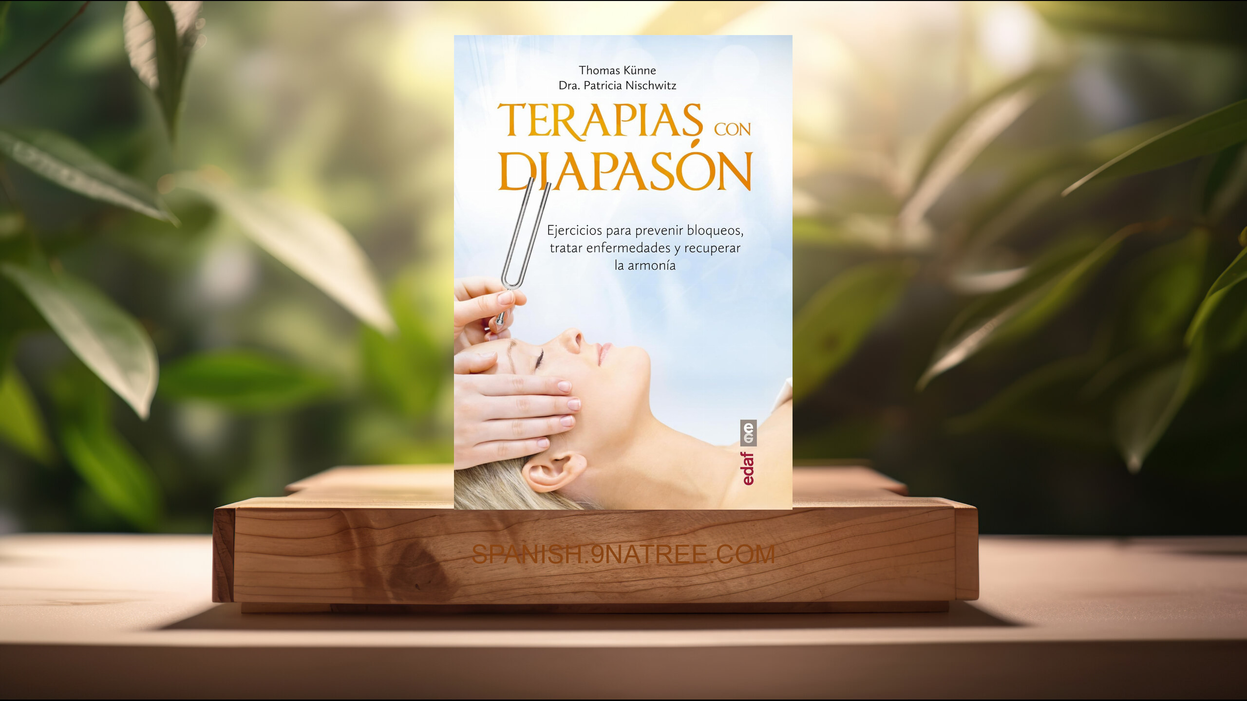 [Reseña] Terapia con el diapasón (Patricia Nischwitz) Resumida.