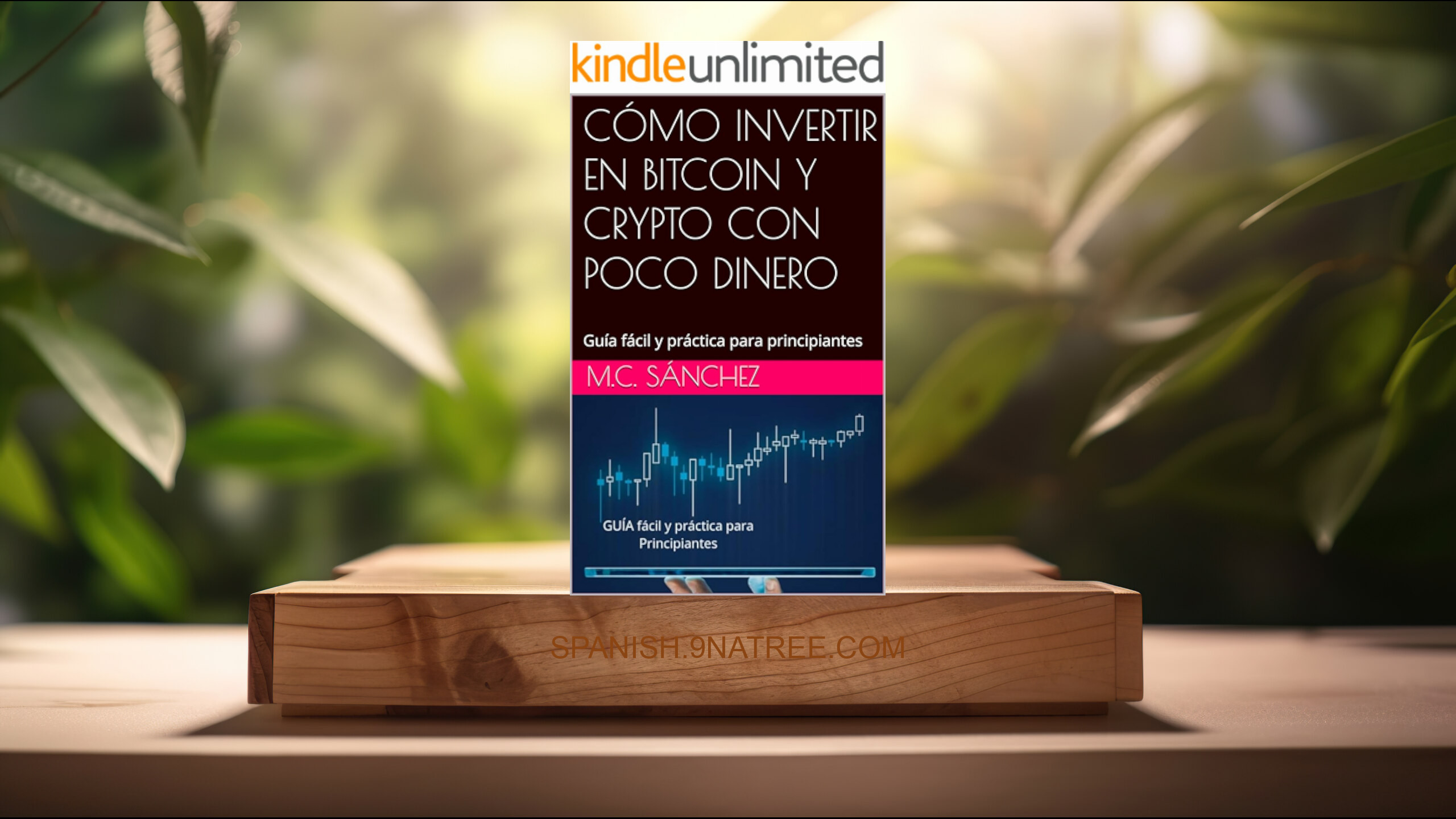 [Reseña] CÓMO INVERTIR EN BITCOIN Y CRYPTO CON POCO DINERO  (M.C. Sánchez) Resumida.