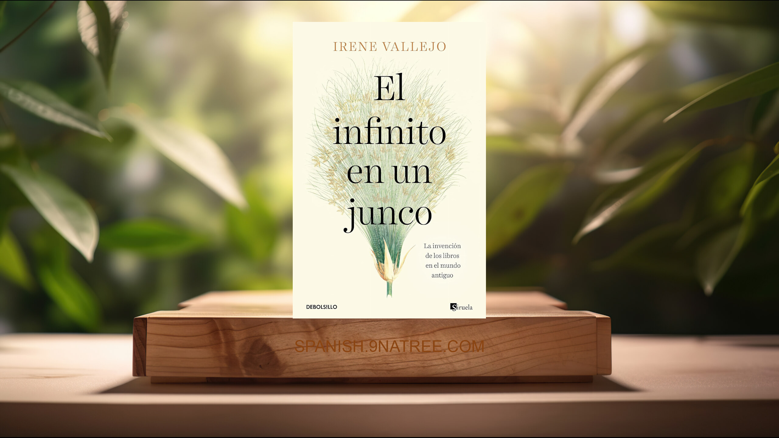 [Reseña] El infinito en un junco (Irene Vallejo) Resumida.