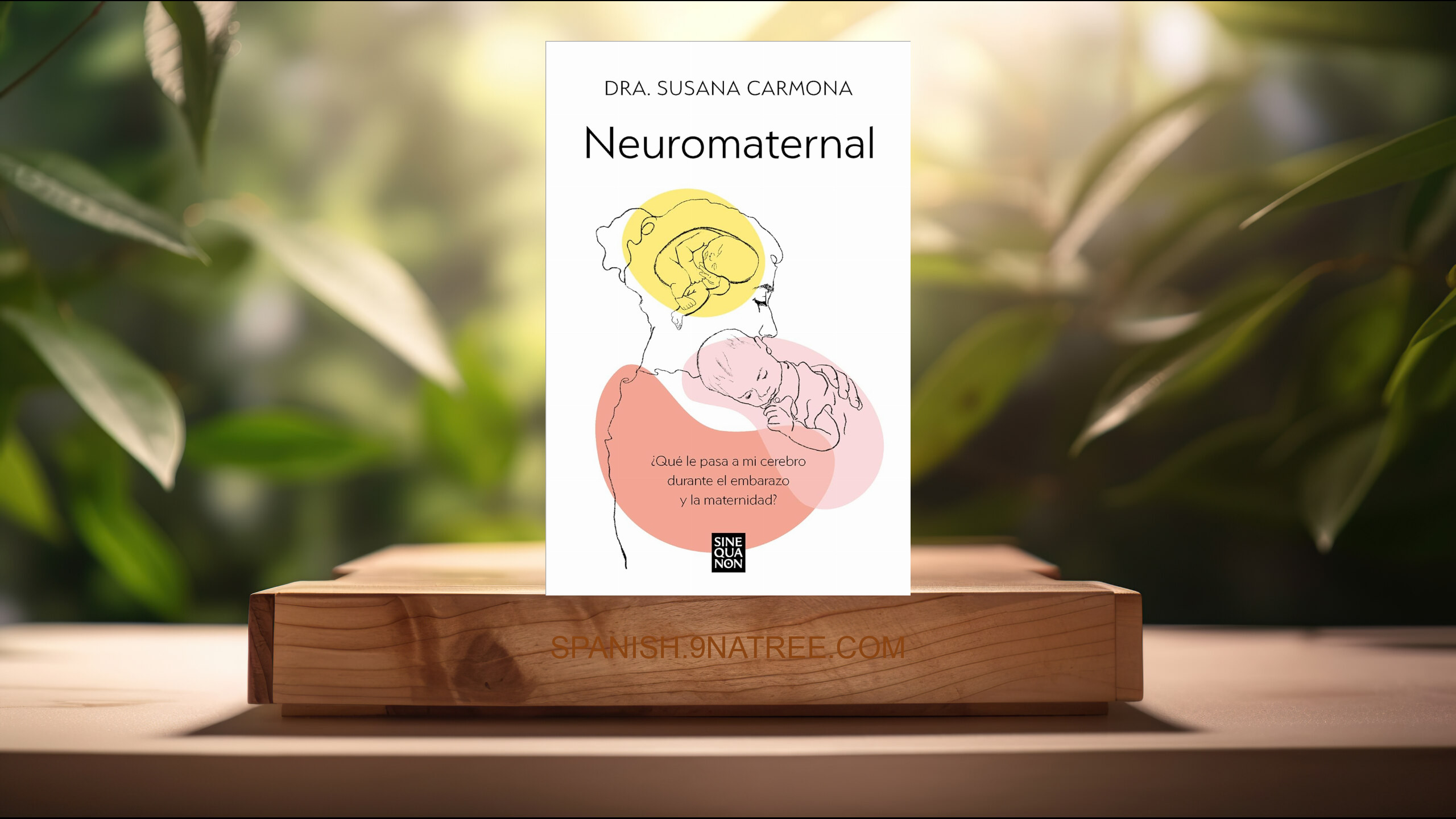 [Reseña] Neuromaternal (Dra. Susana Carmona) Resumida.