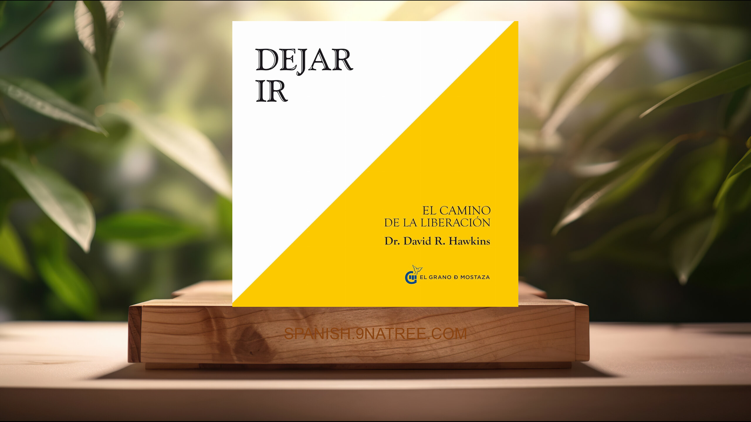 [Reseña] Dejar ir: El camino de la liberación (Jordi Llovet) Resumida.