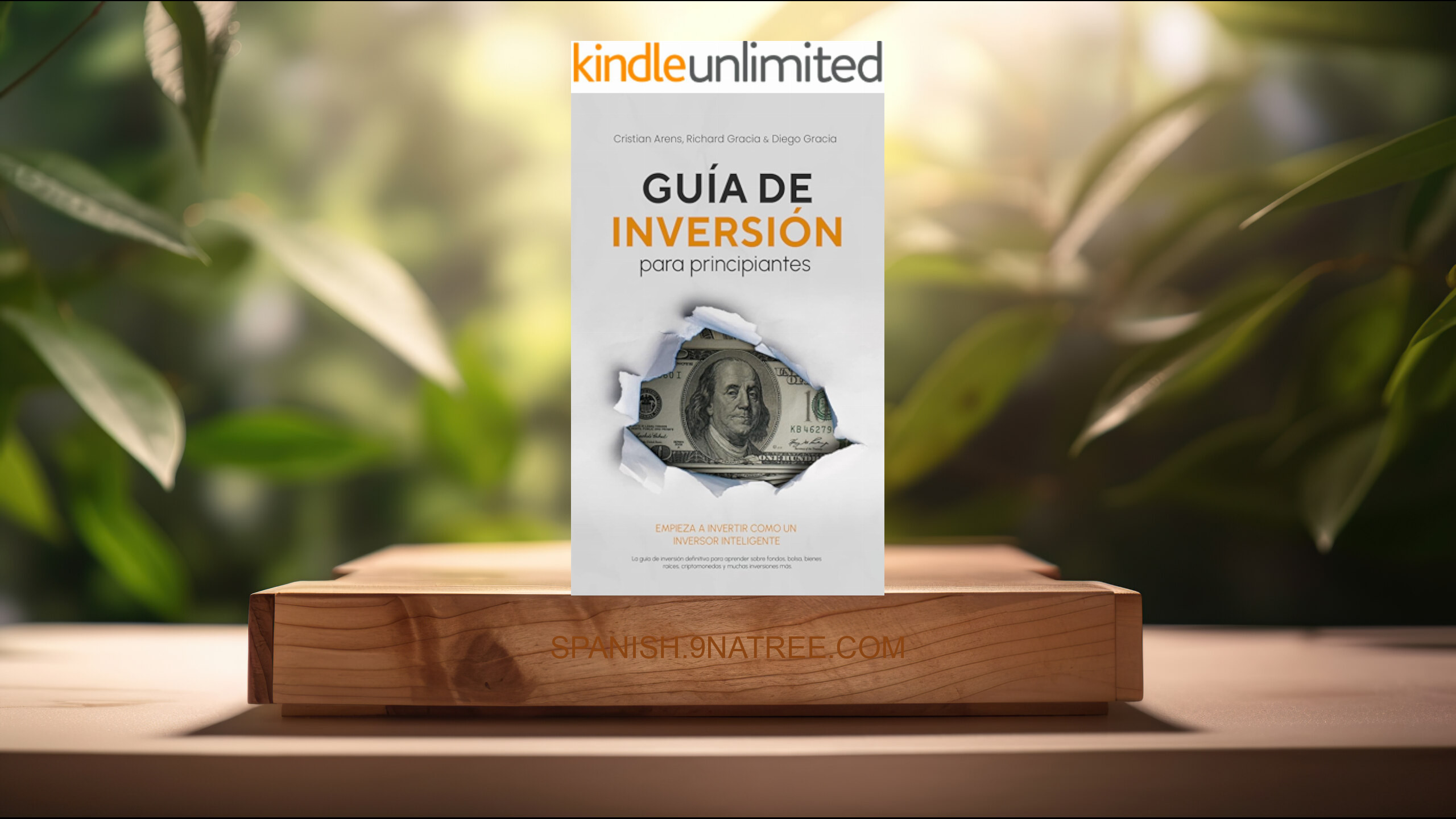 [Reseña] Guía de inversión para principiantes (Richard Gracia) Resumida.