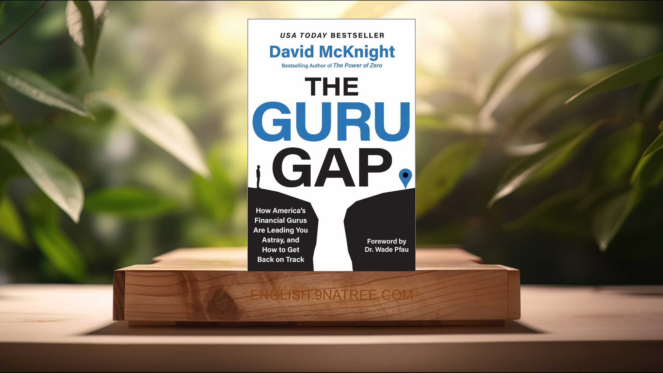 [Review] The Guru Gap (David McKnight) Summarized.