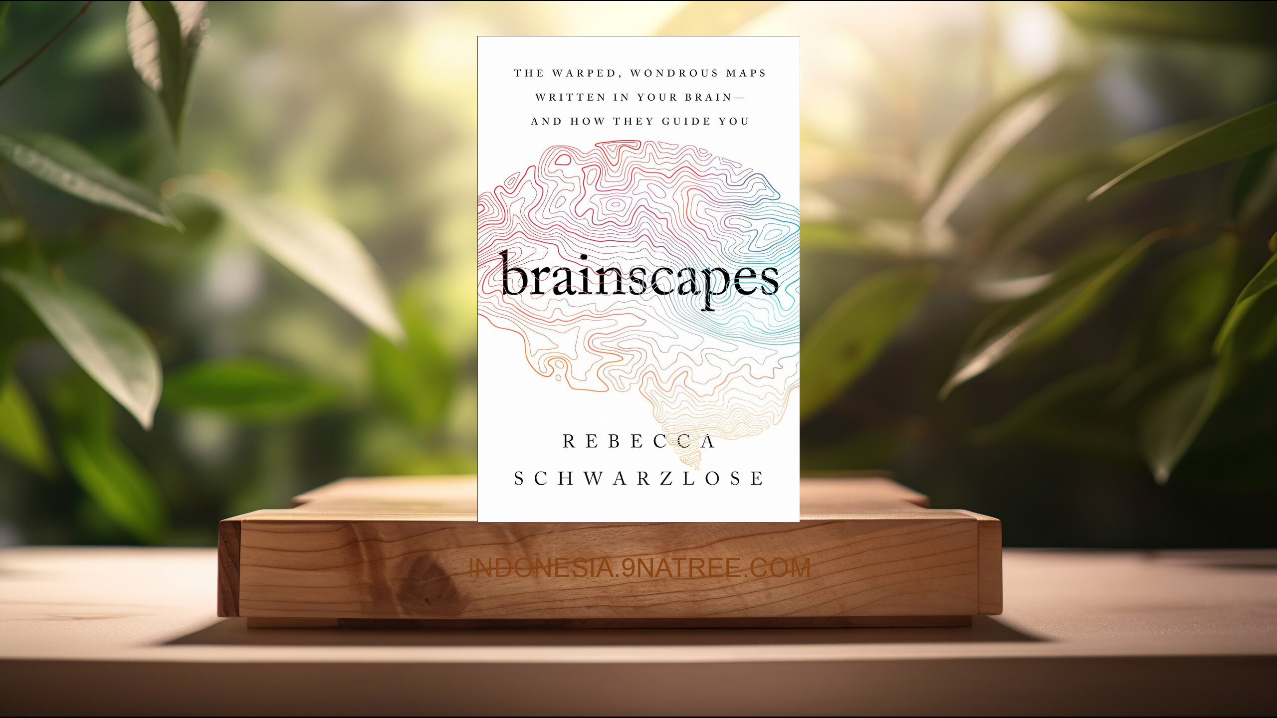 [Ulasan] Brainscapes (Rebecca Schwarzlose) Ringkasan. episode artwork