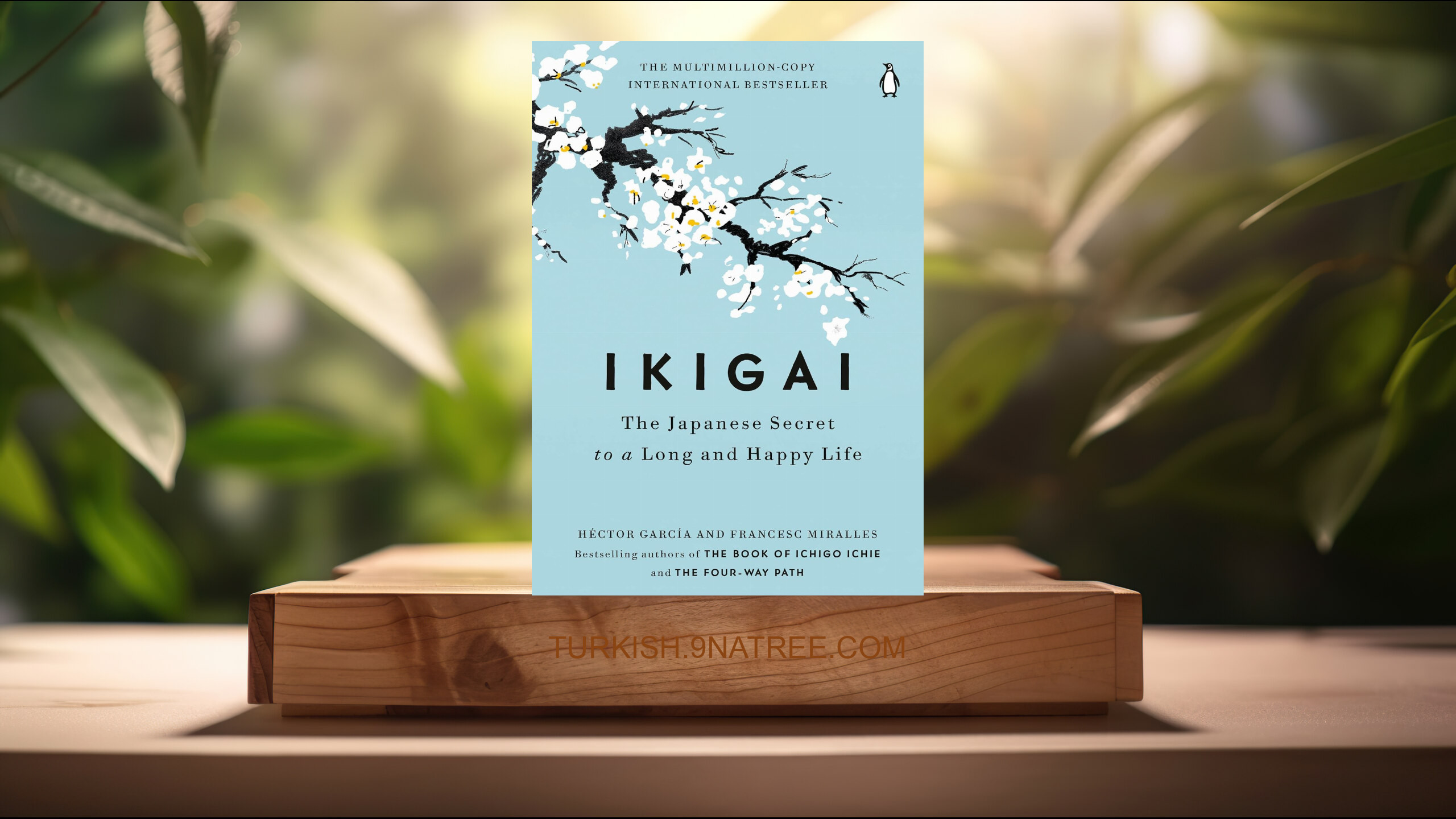 [İncelemesi] Ikigai: The Japanese Secret to a Long and Happy Life (Héctor García) Özeti.