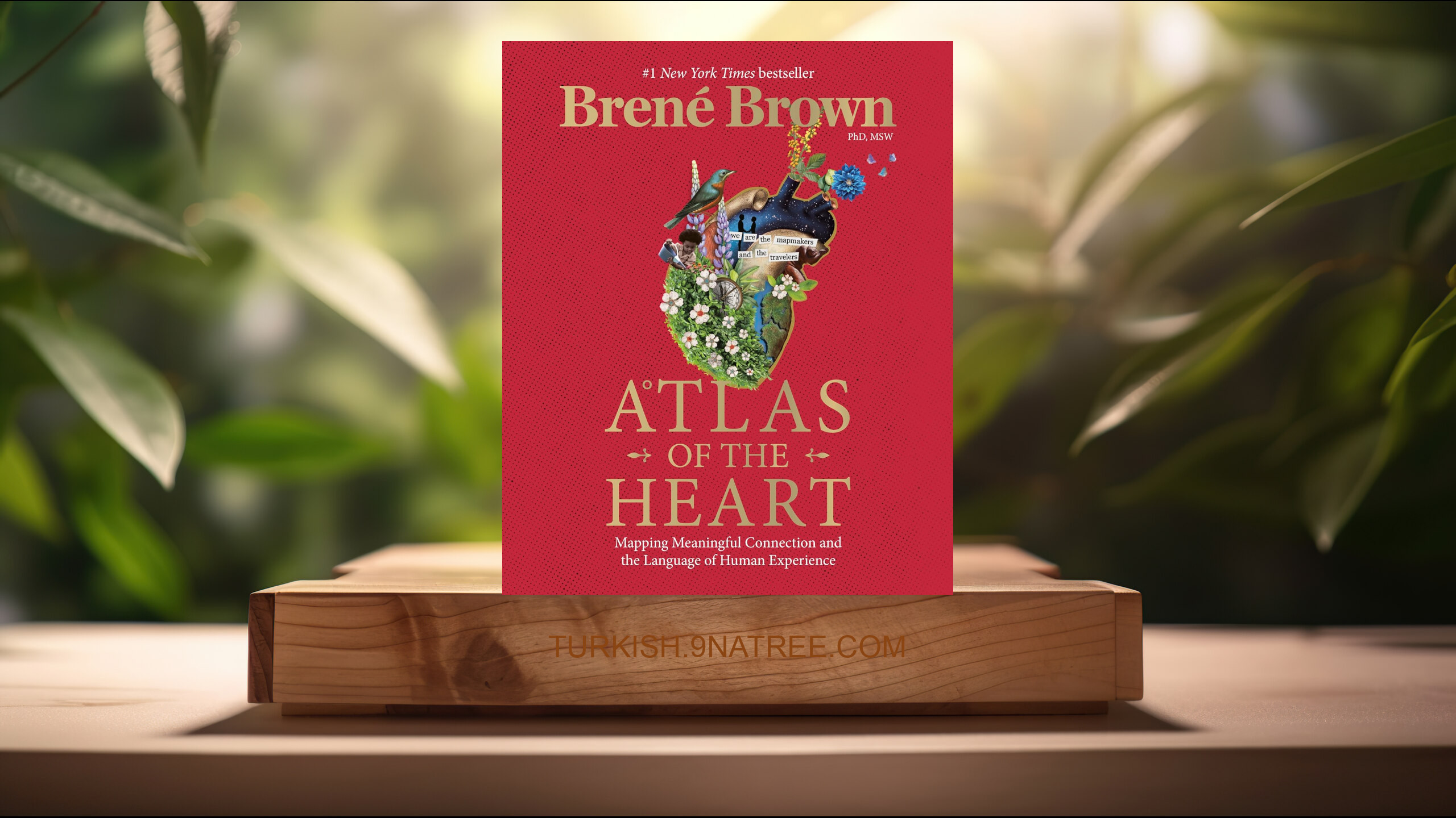 [İncelemesi] Atlas of the Heart (Brené Brown) Özeti.