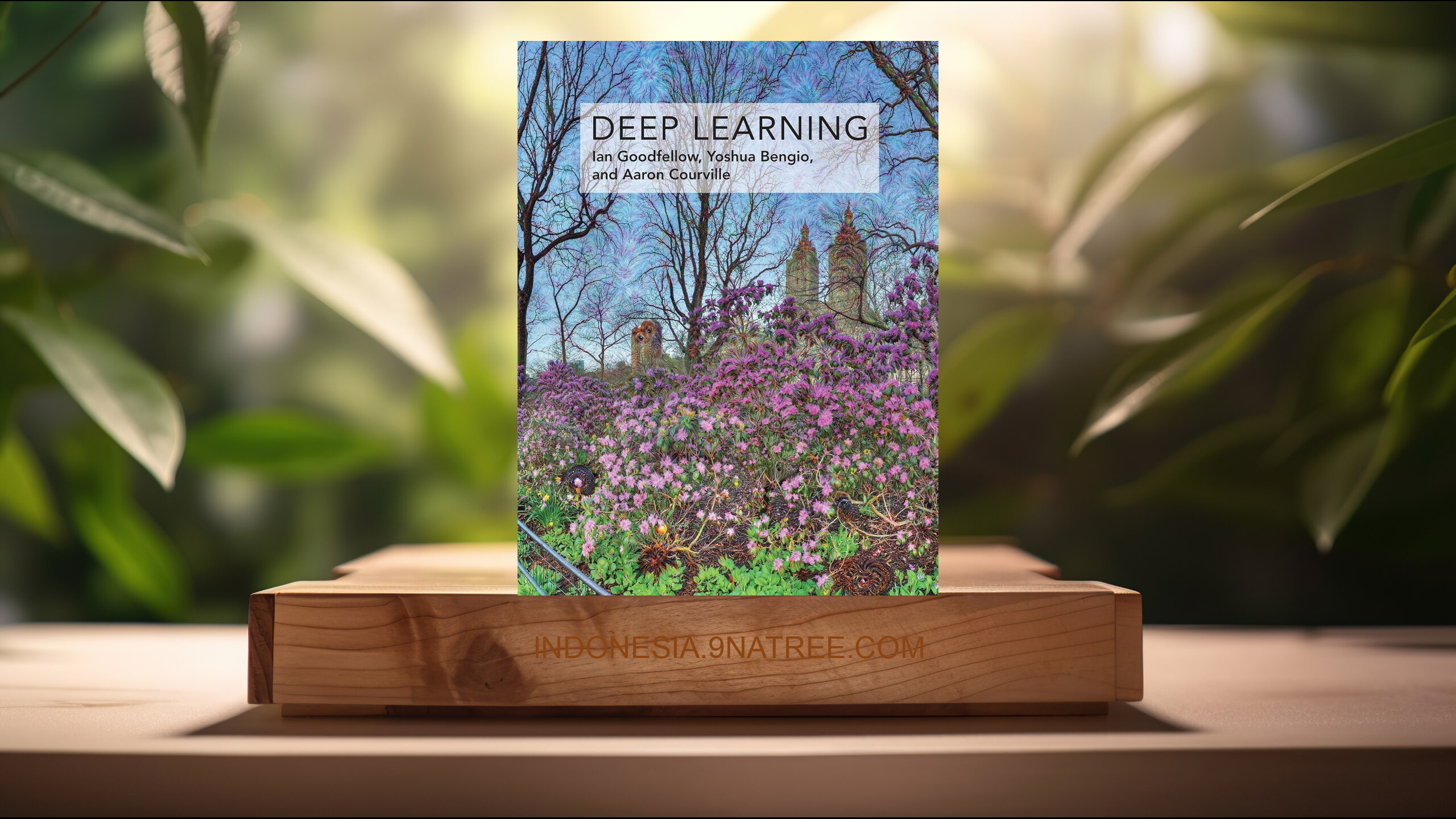 [Ulasan] Deep Learning  (Ian Goodfellow) Ringkasan.