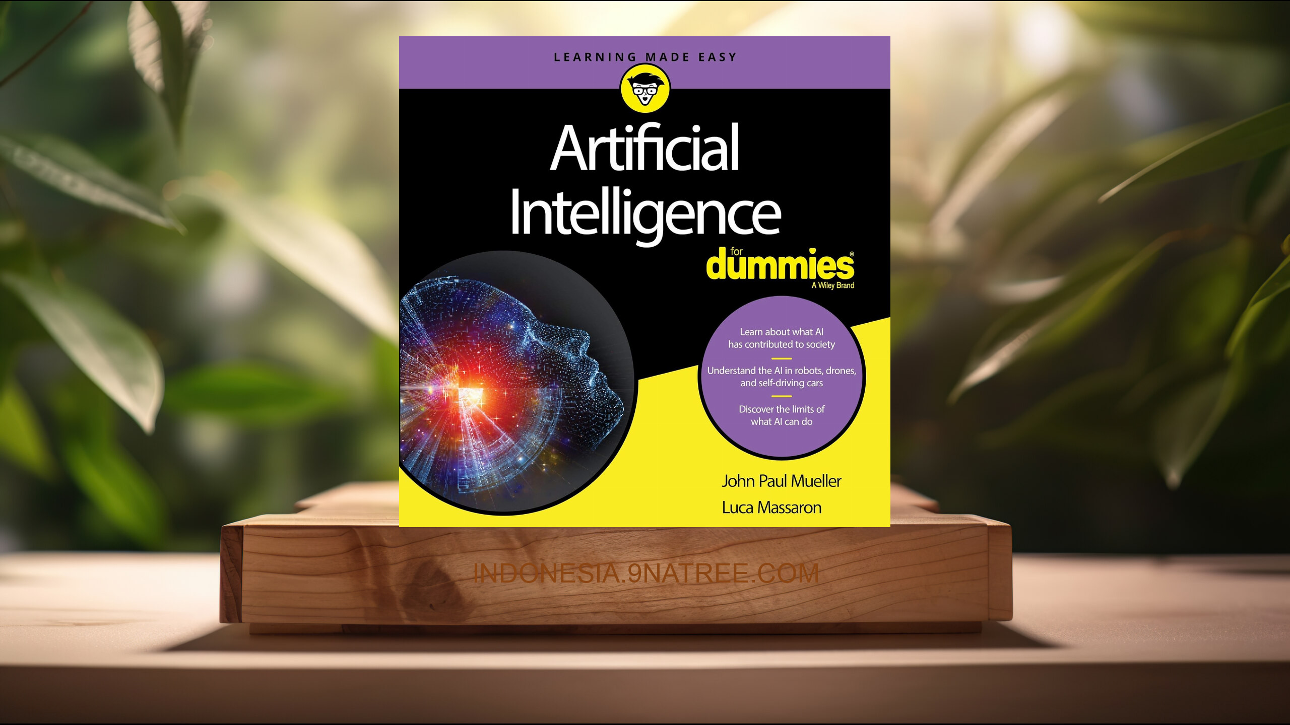 [Ulasan] Artificial Intelligence for Dummies (John Mueller) Ringkasan.