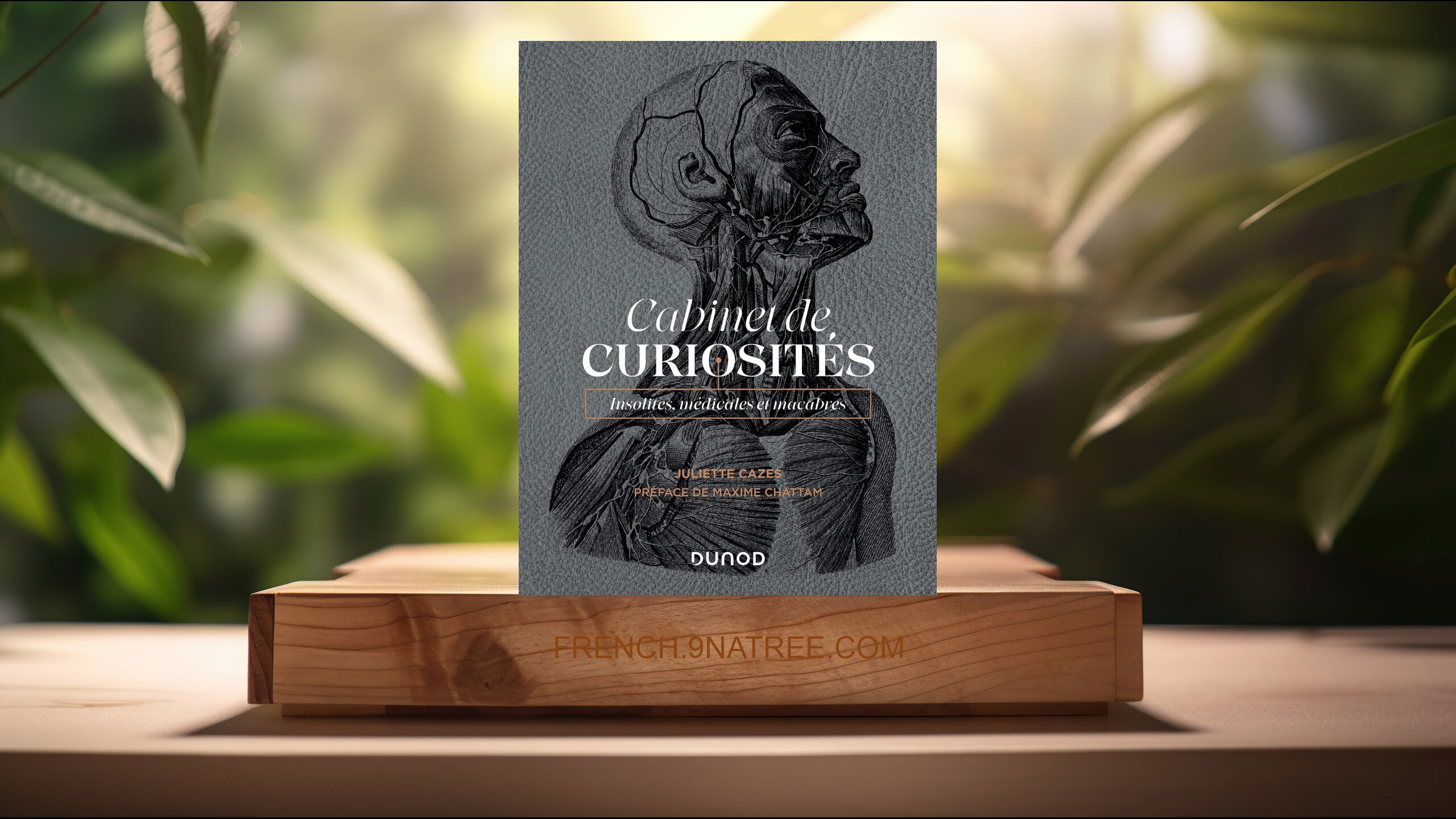 [Critique] Cabinet de curiosités: Insolites, médicales et macabres (Juliette Cazes) Résumé.