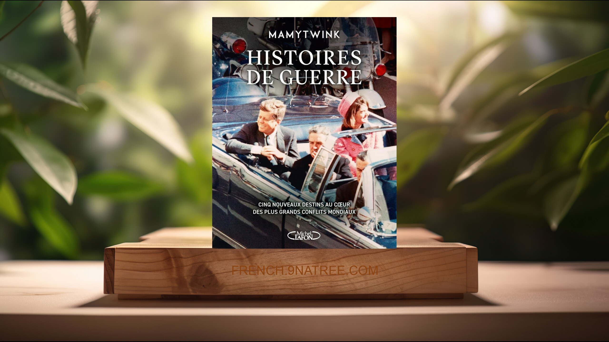 [Critique] Histoires de guerre - Cinq nouveaux destins au coeur des plus grands conflits mondiaux (Mamytwink) Résumé.