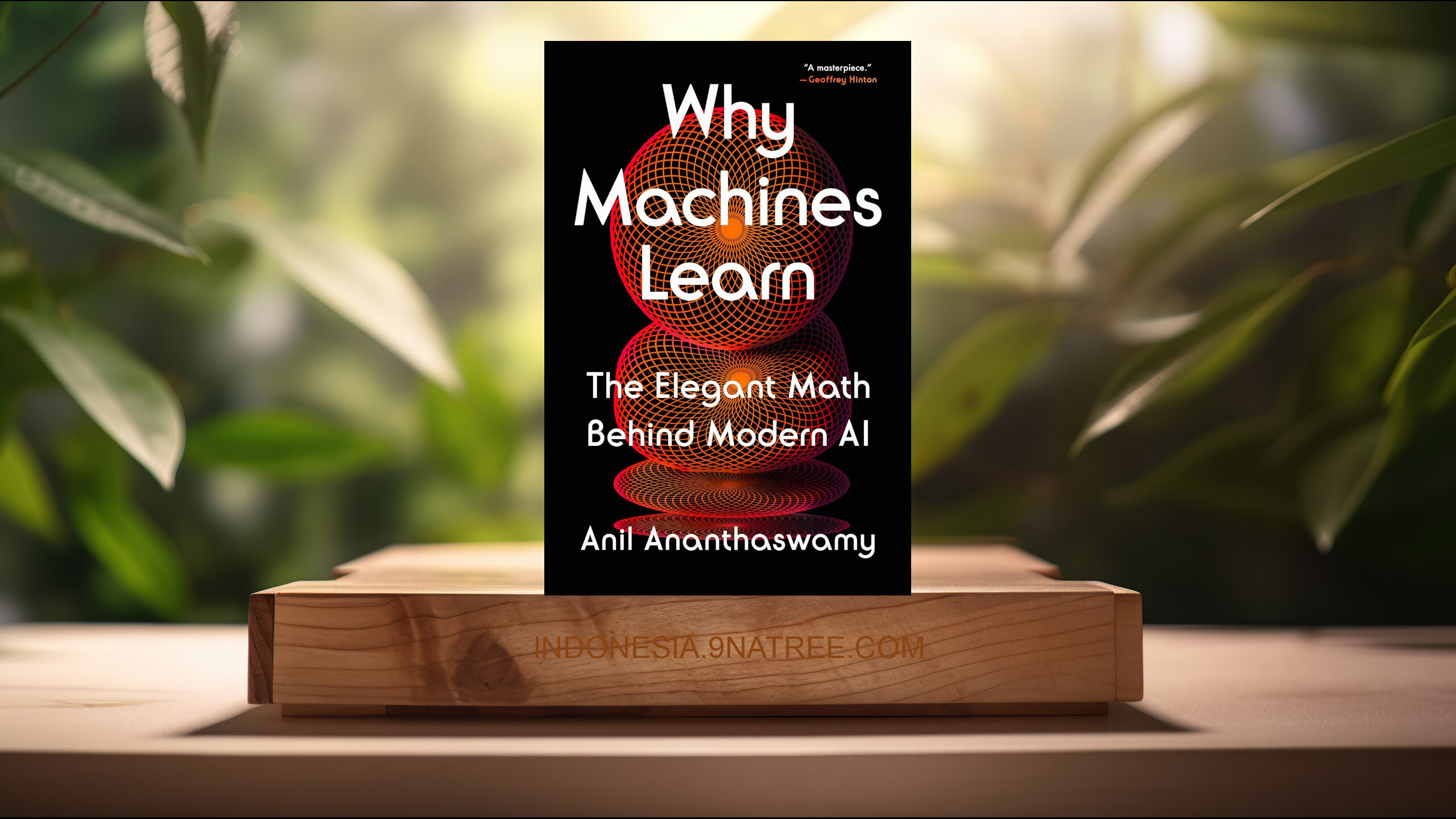 [Ulasan] Why Machines Learn: The Elegant Math Behind Modern AI (Anil Ananthaswamy) Ringkasan.