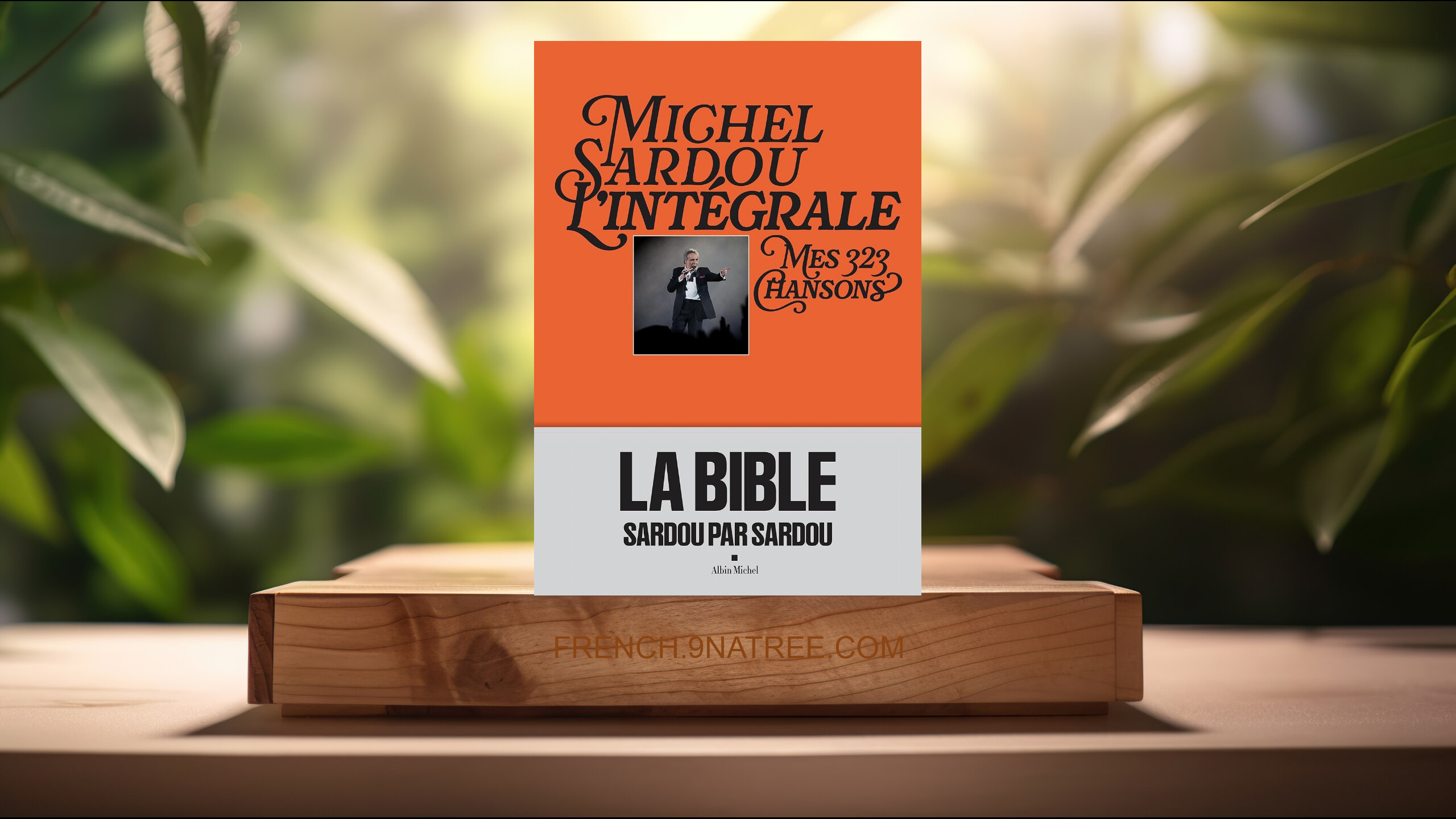 [Critique] Michel Sardou, l'intégrale: Mes 368 chansons (Michel Sardou) Résumé.