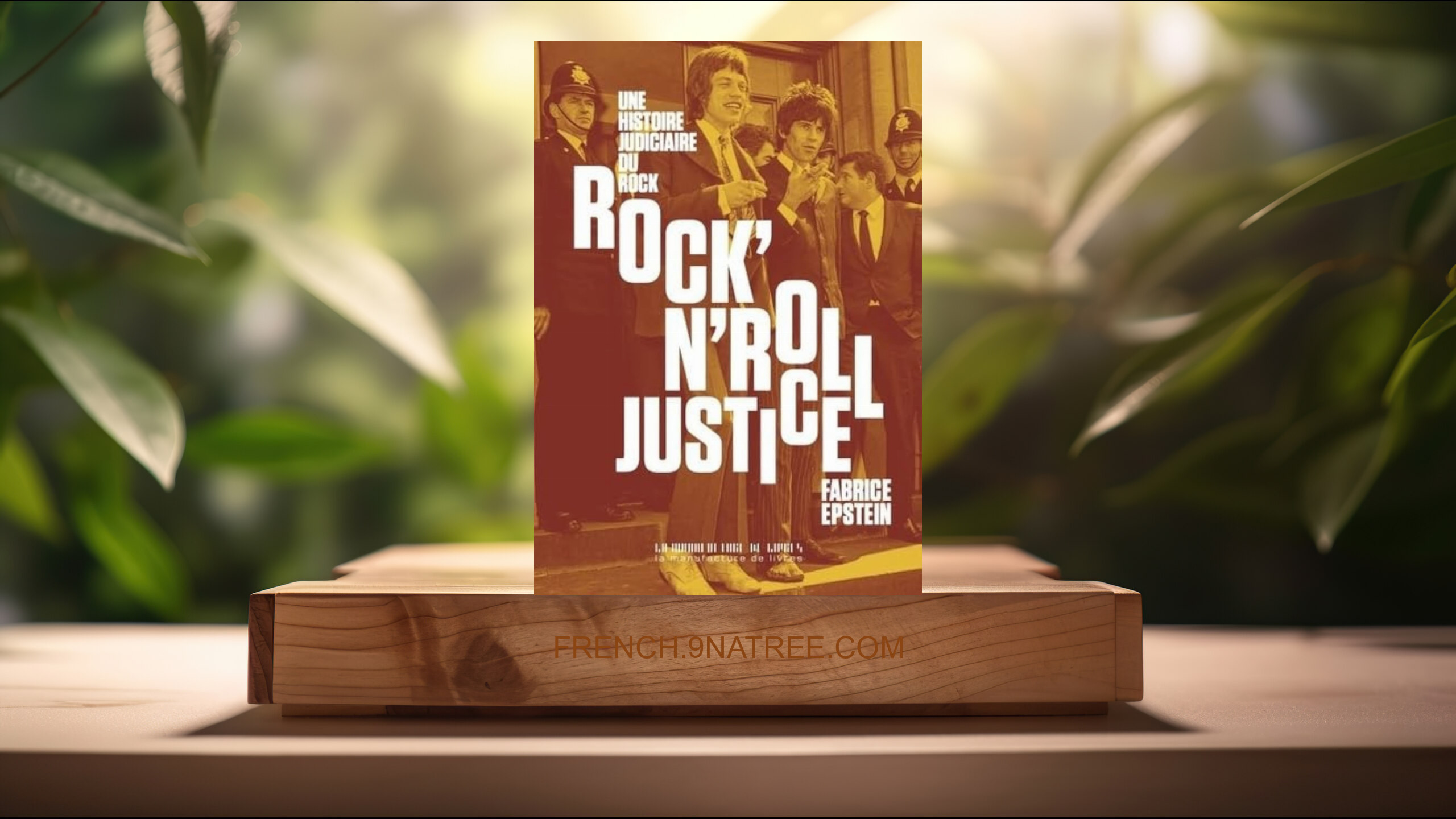 [Critique] Rock'n'roll justice: Une histoire judiciaire du rock (Fabrice Epstein) Résumé.