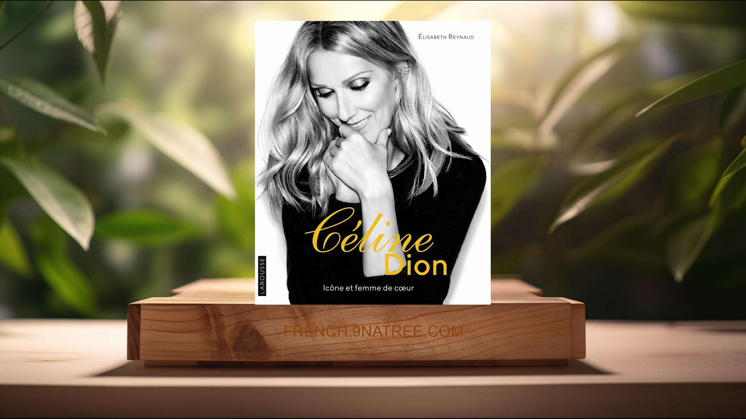 [Critique] Céline Dion (Elisabeth Reynaud) Résumé.