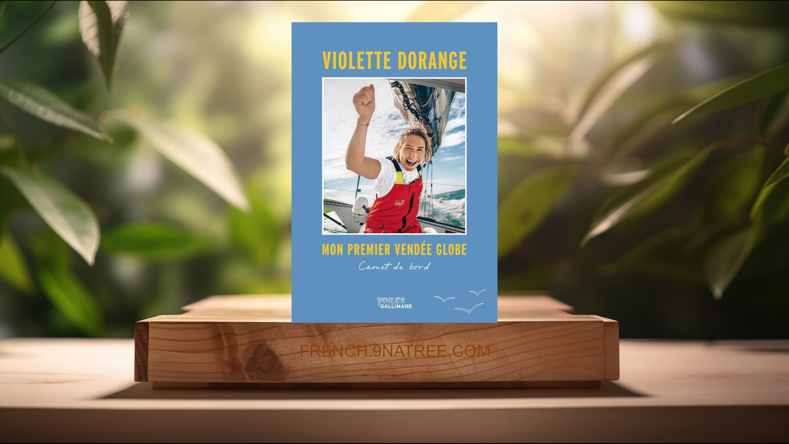 [Critique] Mon premier Vendée Globe: Carnet de bord (Violette Dorange) Résumé.