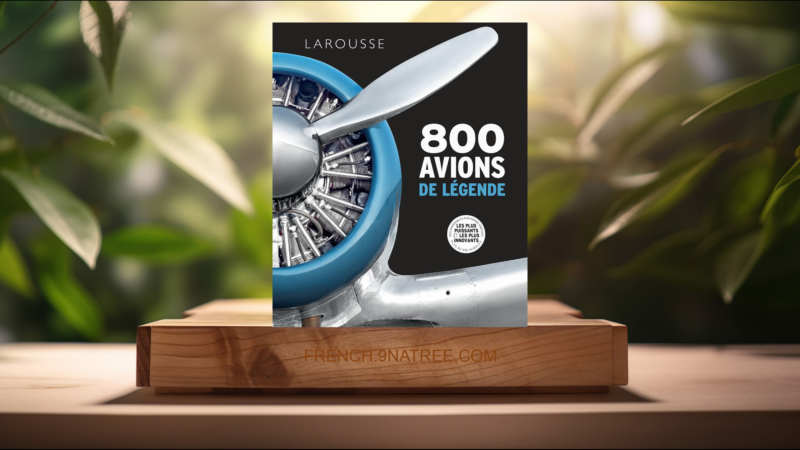 [Critique] 800 avions de légende (Collectif) Résumé.