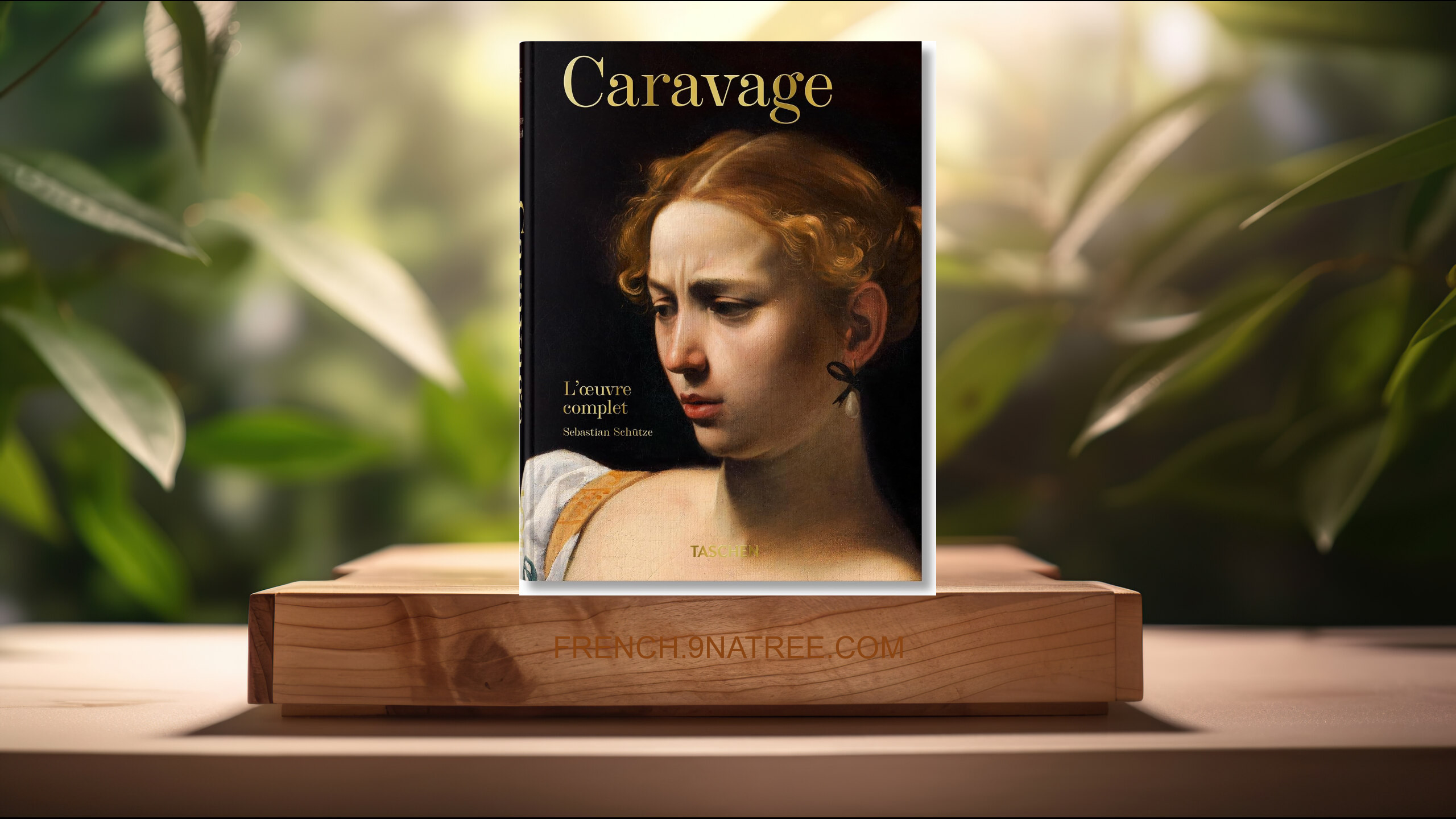 [Critique] Caravage. L'œuvre complet. 45th Ed. (Sebastian Schutze) Résumé.