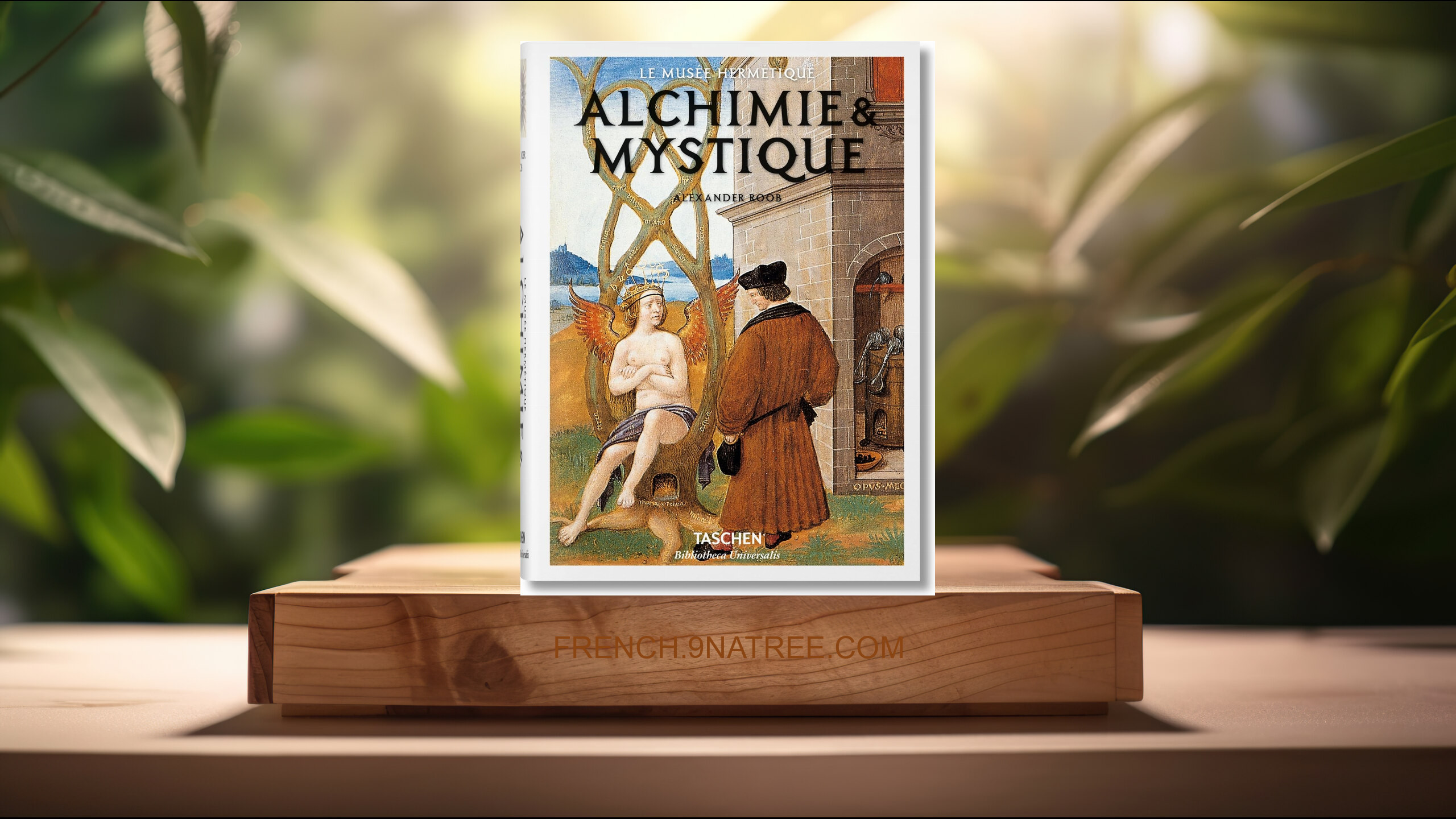 [Critique] BU-Alchimie &amp; Mystique (Alexander Roob) Résumé.