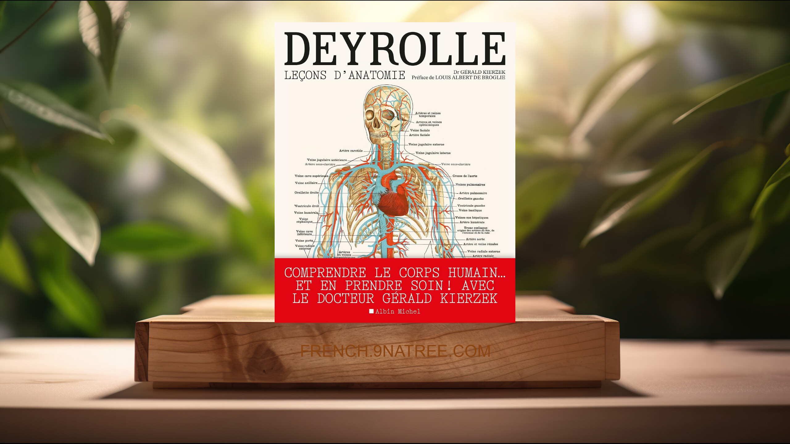 [Critique] Deyrolle: Leçons d'anatomie (Gérald Kierzek) Résumé.