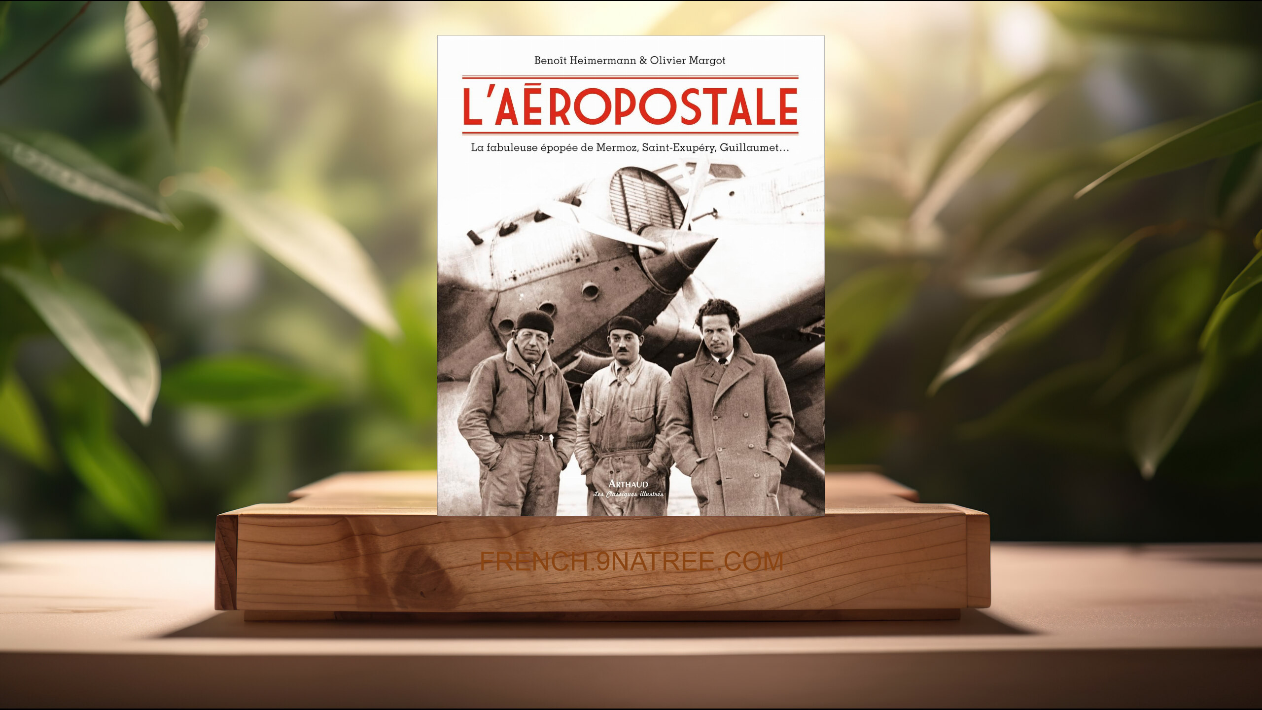 [Critique] L'Aéropostale (Benoît Heimermann) Résumé.