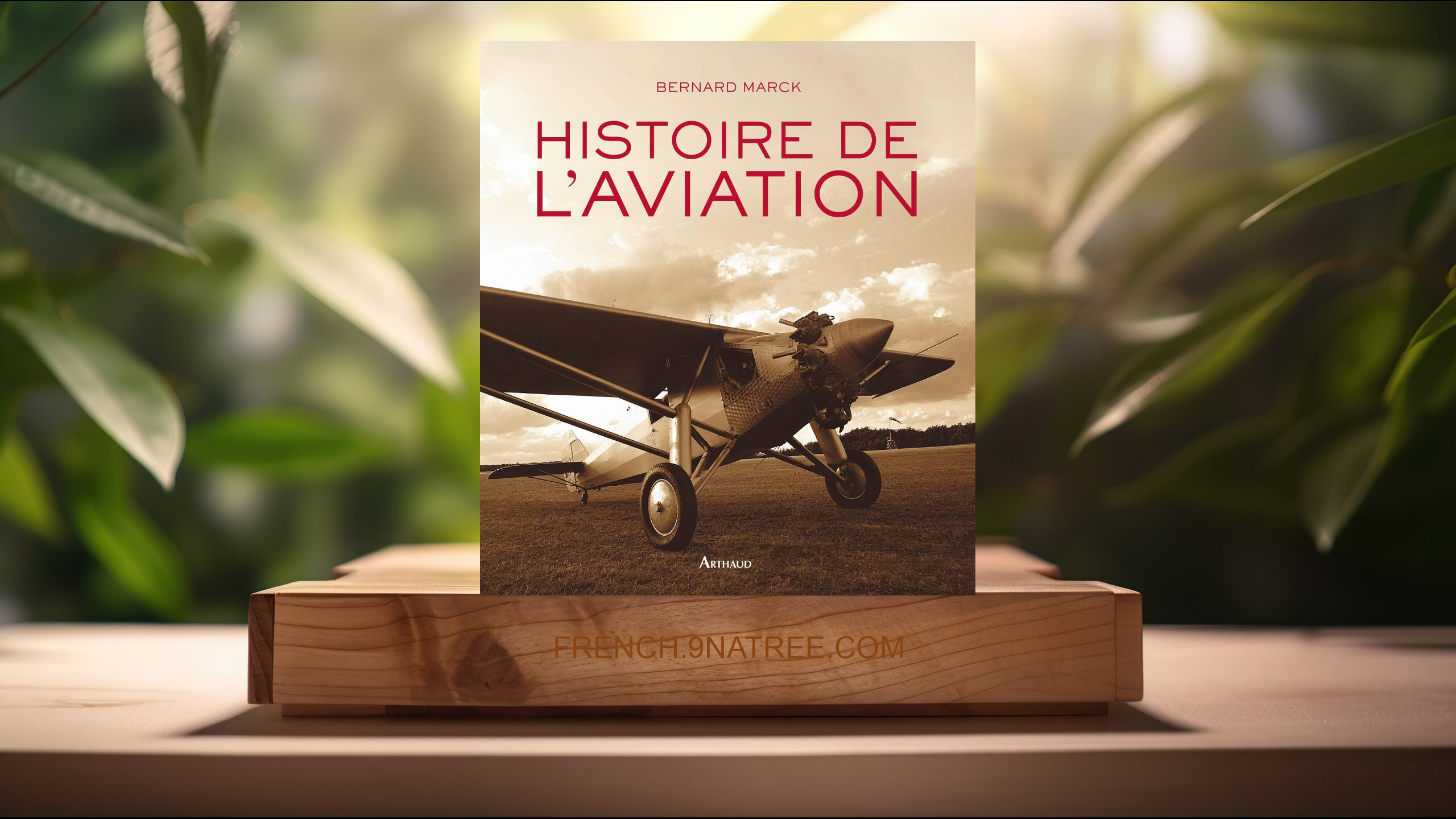 [Critique] Histoire de l'aviation (Bernard Marck) Résumé.