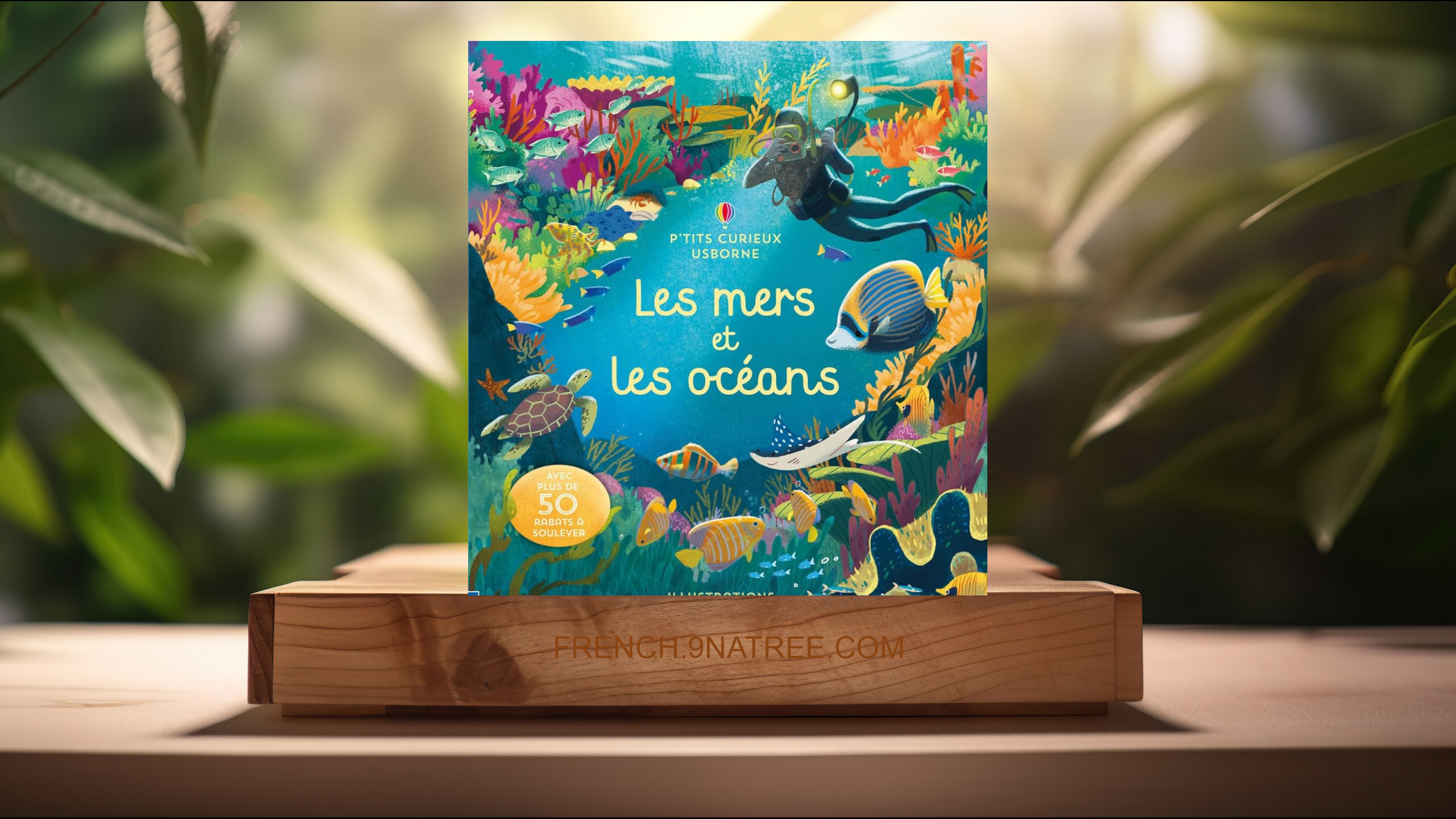 [Critique] Les mers et les océans (Megan Cullis) Résumé.