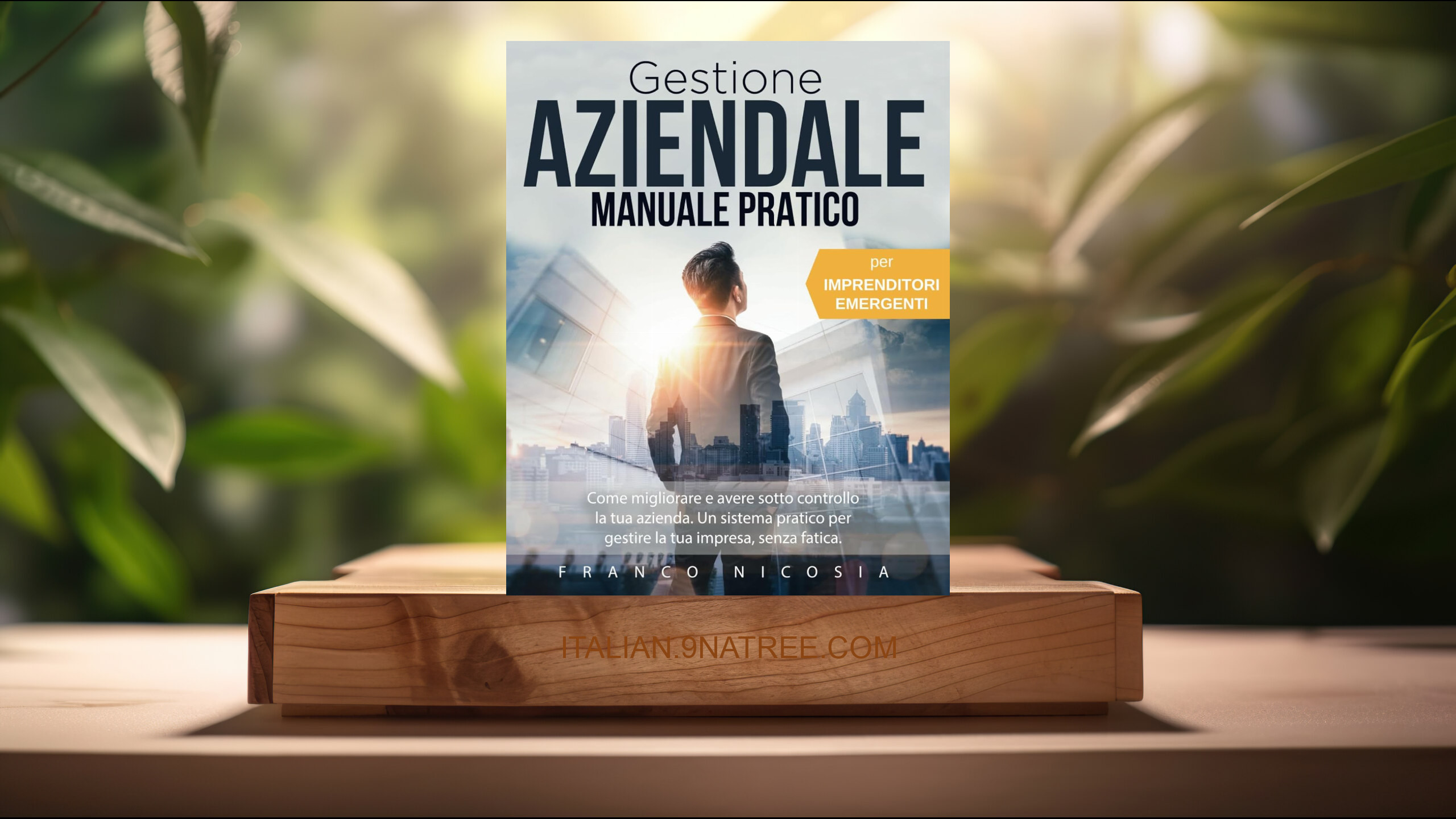 [Recensione] GESTIONE AZIENDALE Manuale Pratico (Franco Nicosia) Riassunto.
