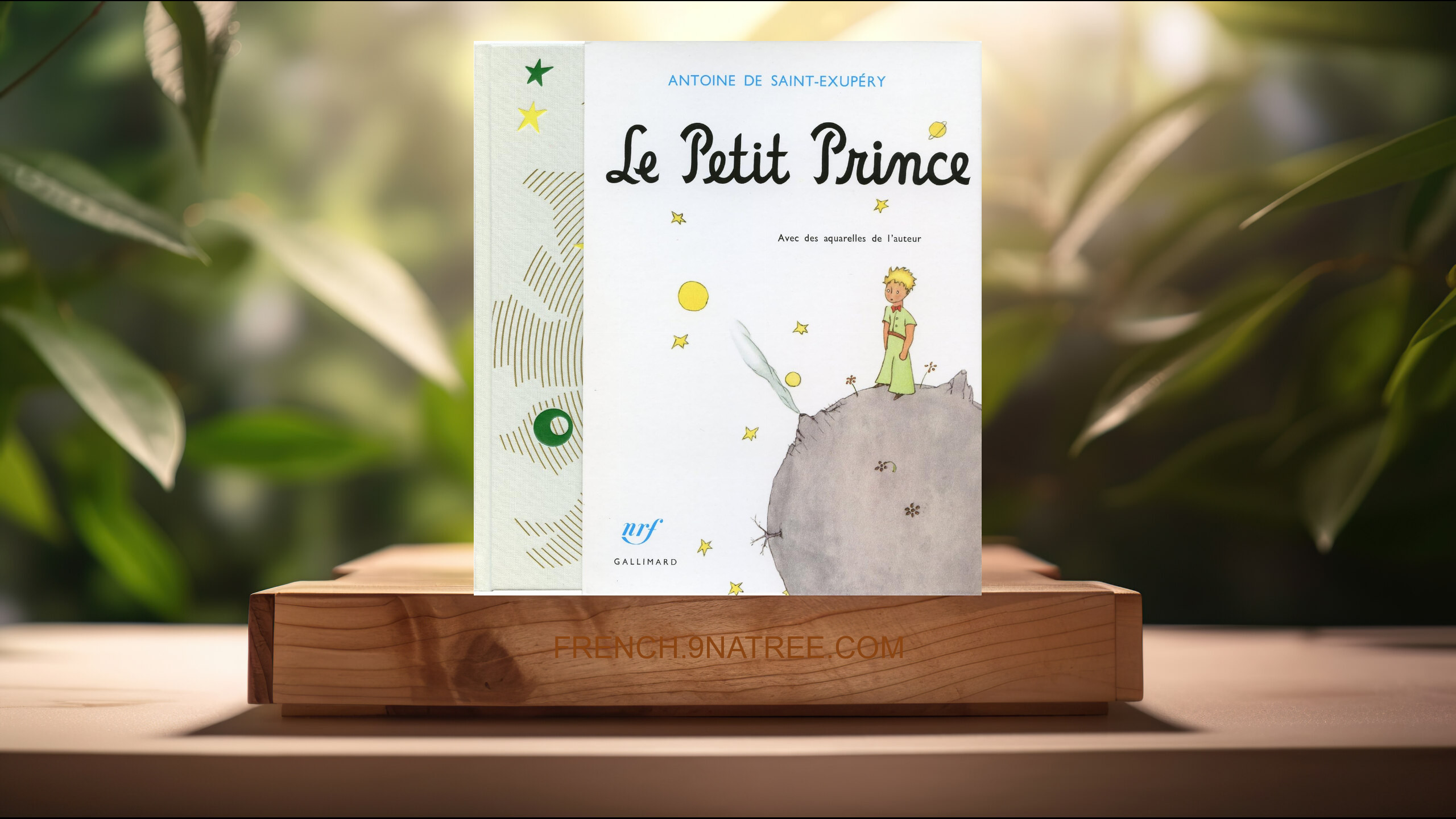 [Critique] Le Petit Prince - Avec des aquarelles de l'auteur (Antoine de Saint-Exupery) Résumé.
