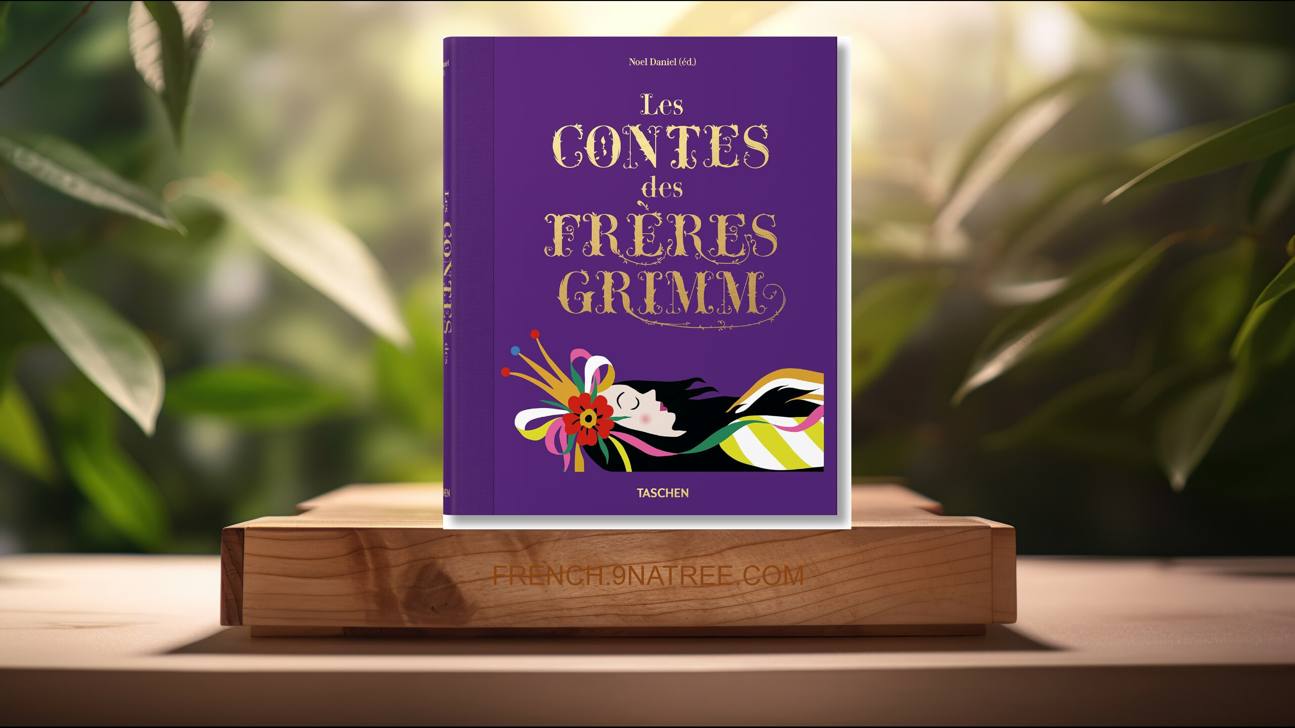 [Critique] Les contes des Frères Grimm (Noel Daniel) Résumé.
