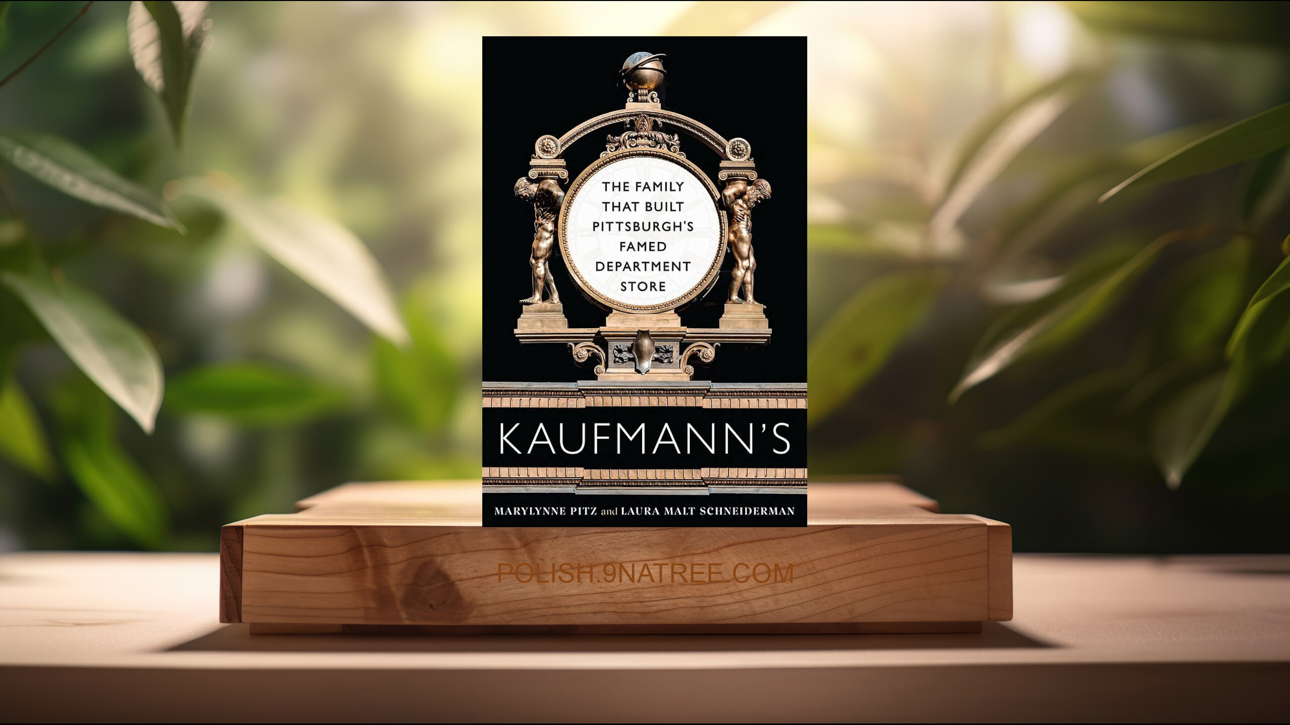 [Recenzja] Kaufmann's (Marylynne Pitz) Streszczenie.