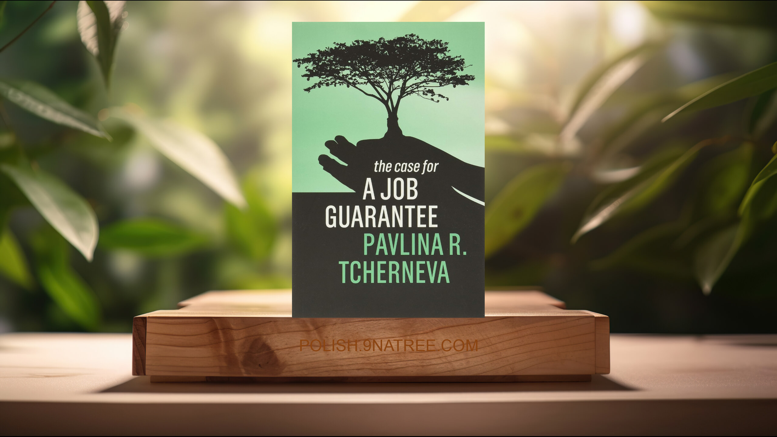 [Recenzja] The Case for a Job Guarantee (Pavlina R. Tcherneva) Streszczenie.
