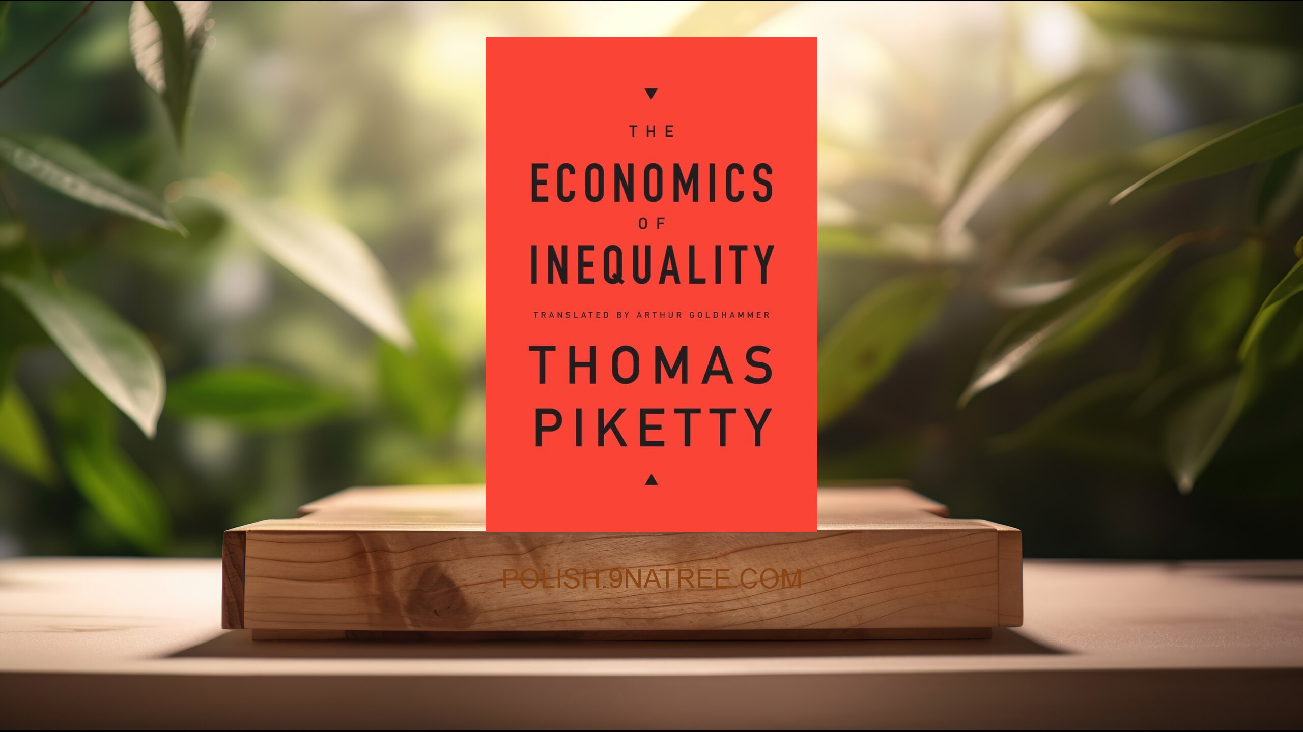 [Recenzja] The Economics of Inequality (Thomas Piketty) Streszczenie.