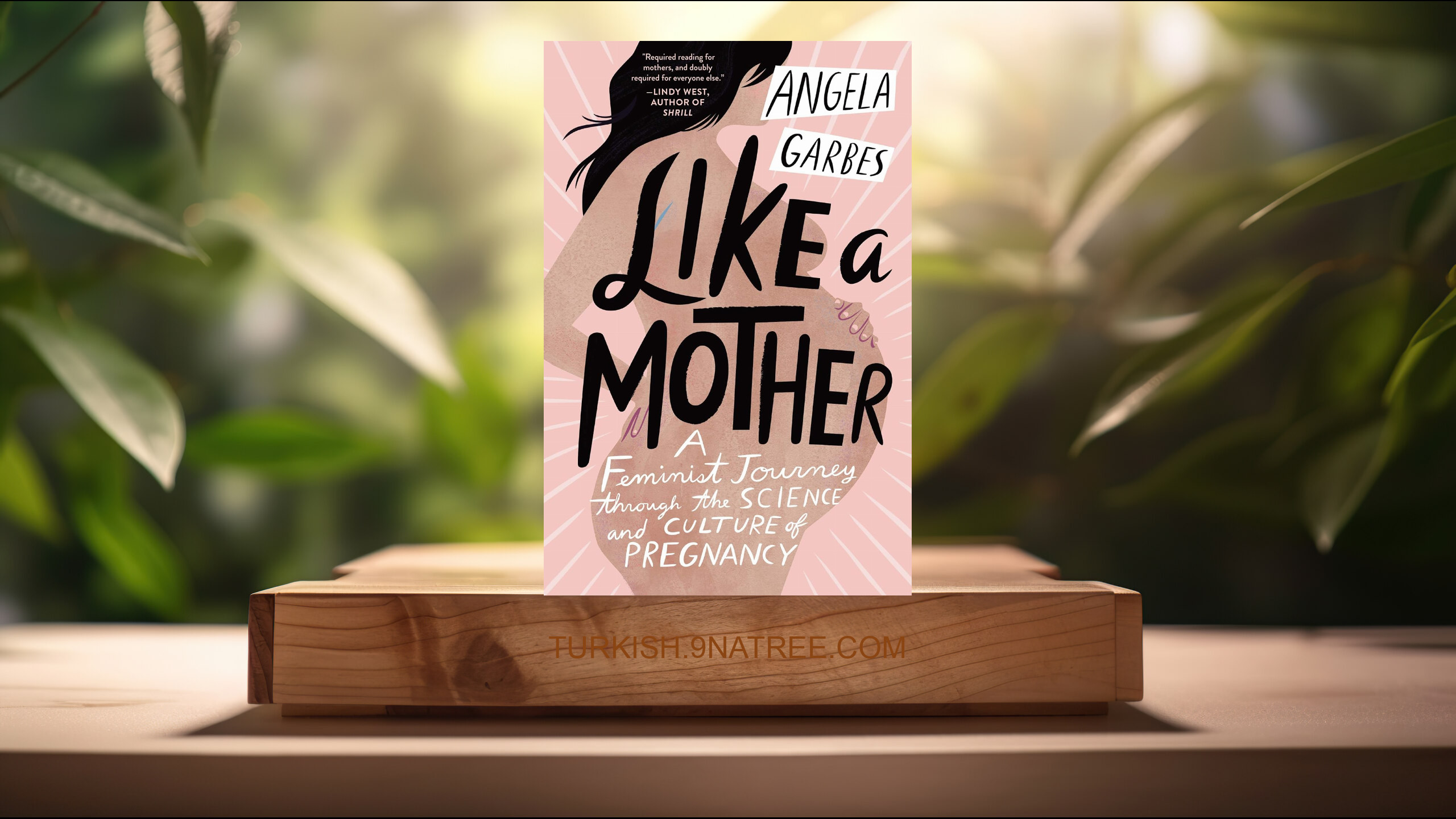 [İncelemesi] Like a Mother (Angela Garbes) Özeti.