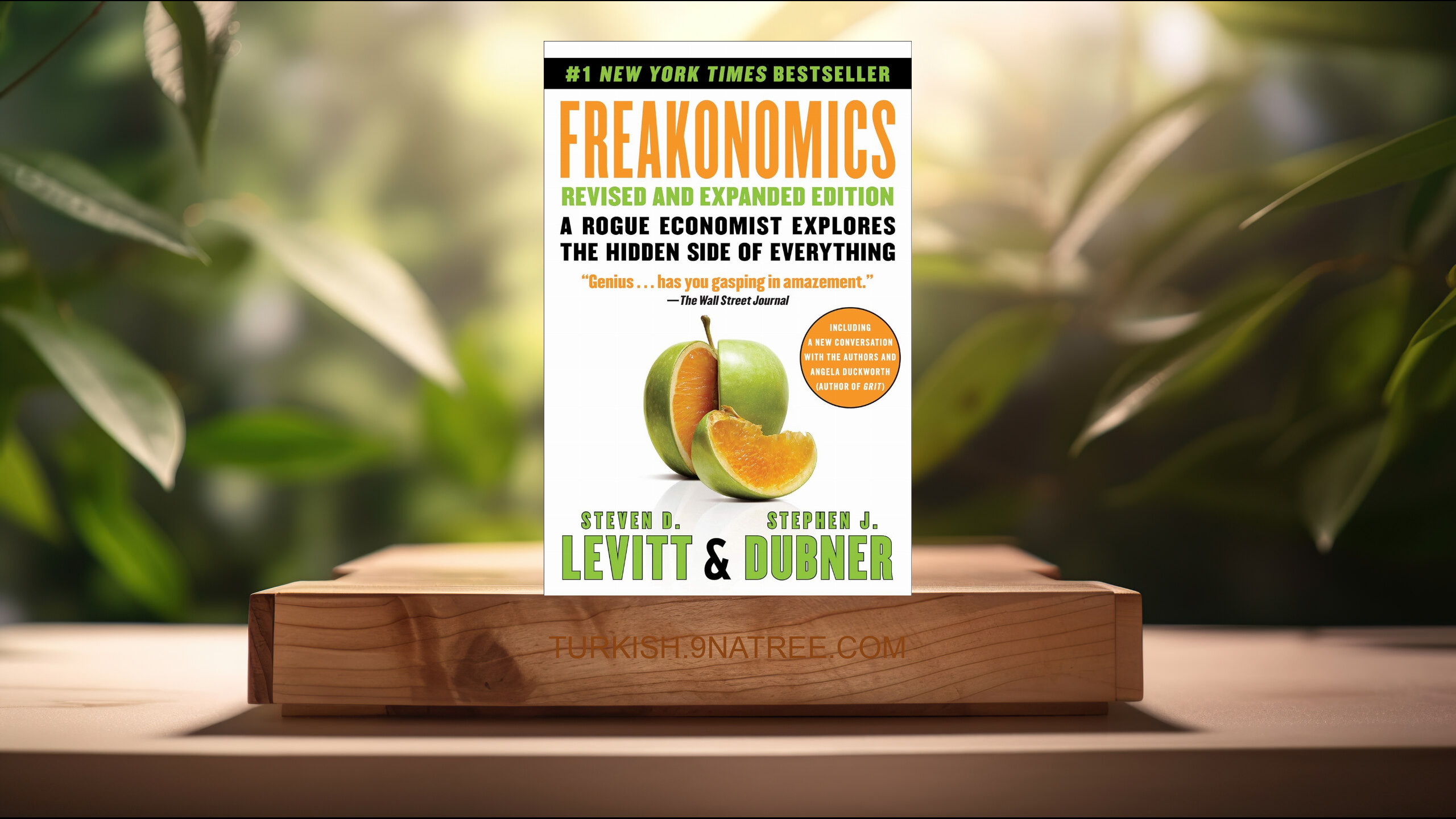 [İncelemesi] Freakonomics Revised and Expanded Edition (Steven Levitt) Özeti.
