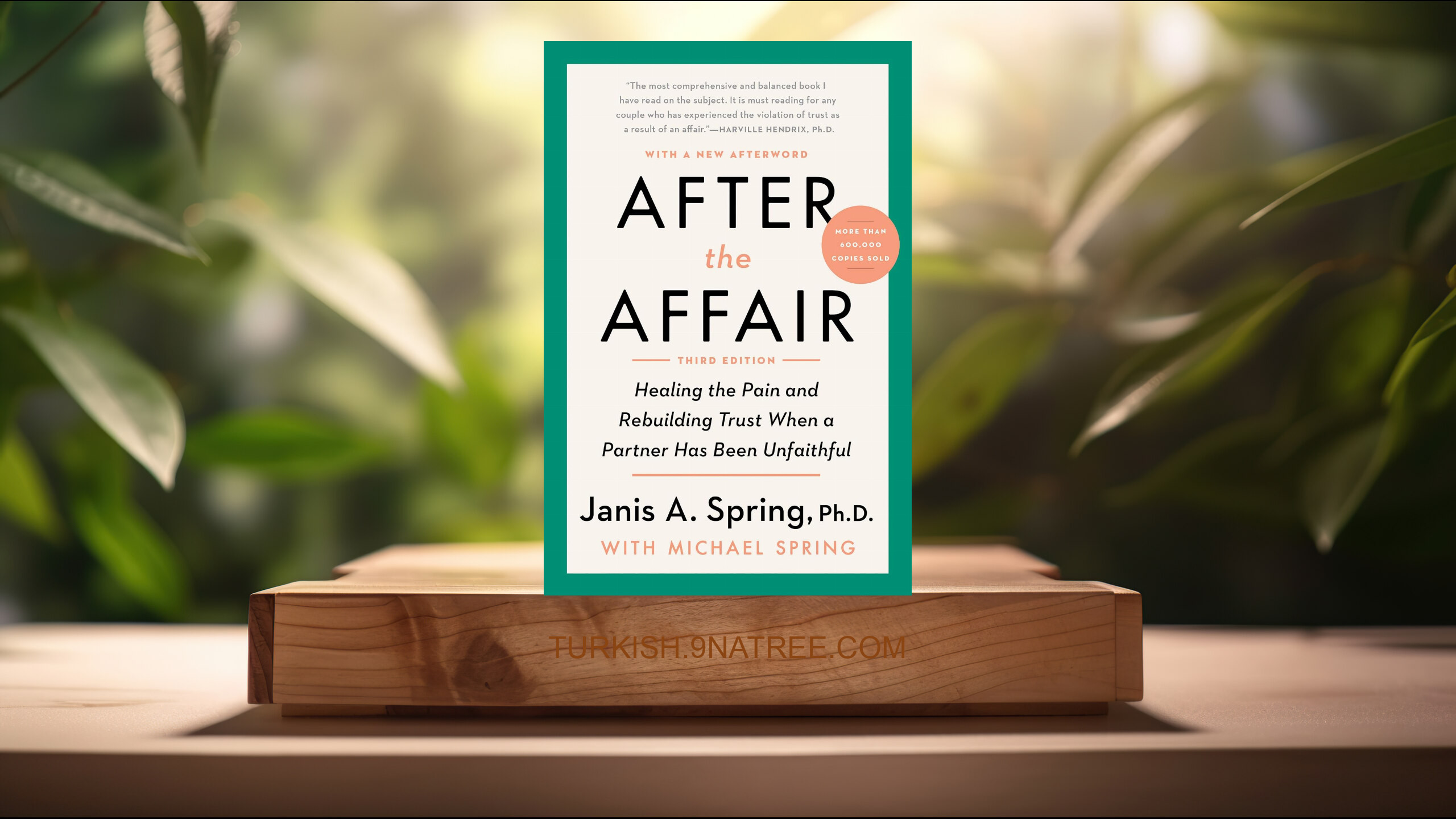 [İncelemesi] After the Affair, Third Edition (Janis A. Spring) Özeti.