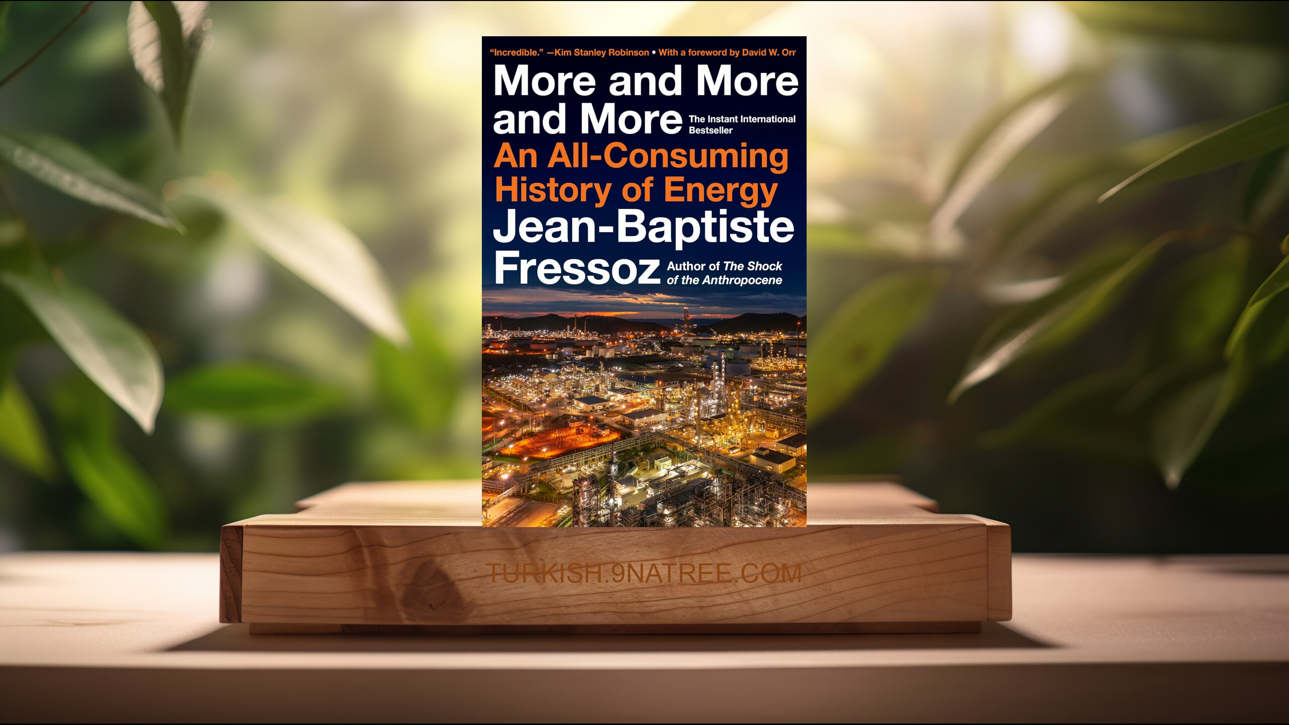 [İncelemesi] More and More and More (Jean-Baptiste Fressoz) Özeti.