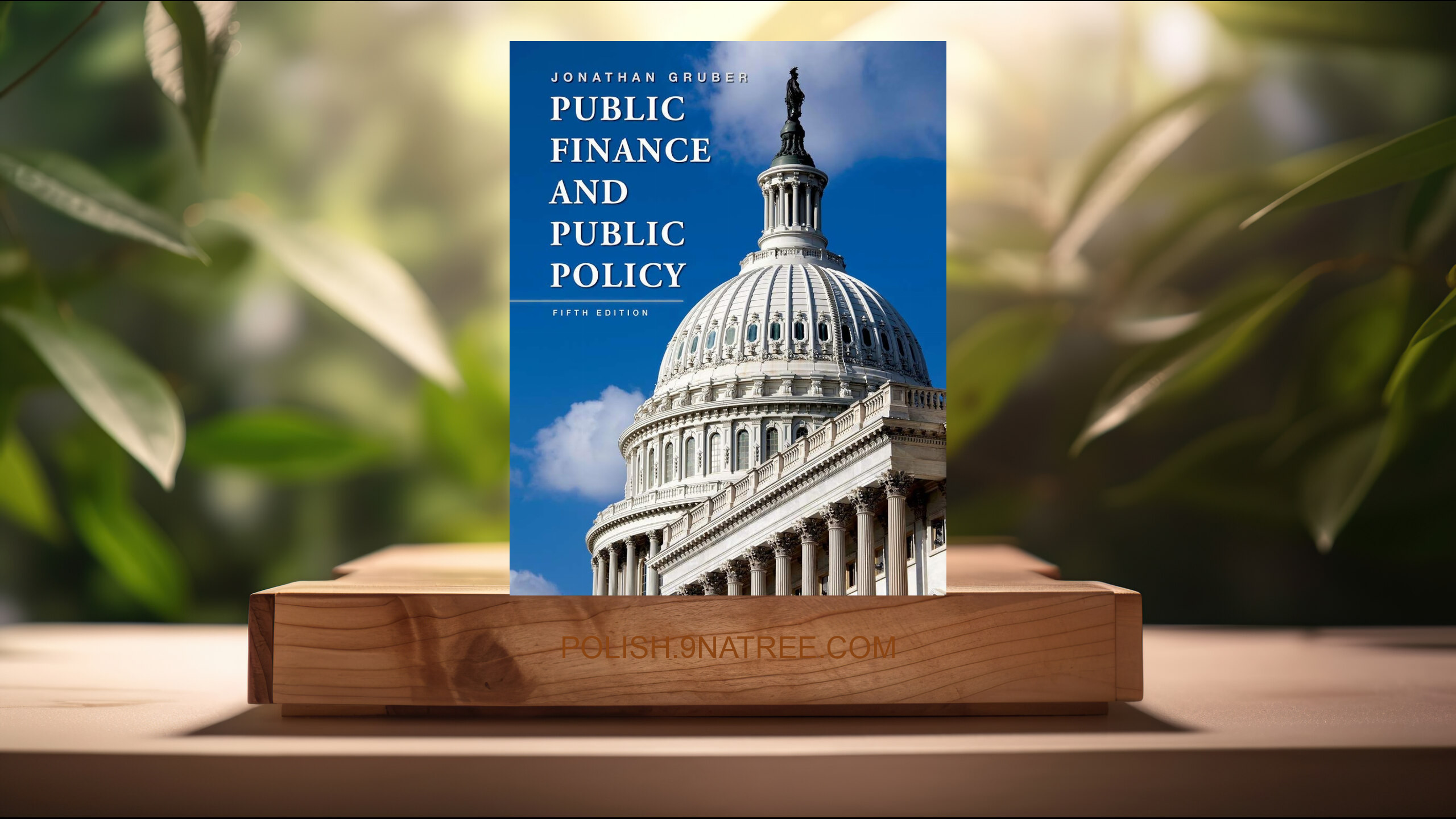 [Recenzja] Public Finance and Public Policy (Jonathan Gruber) Streszczenie.
