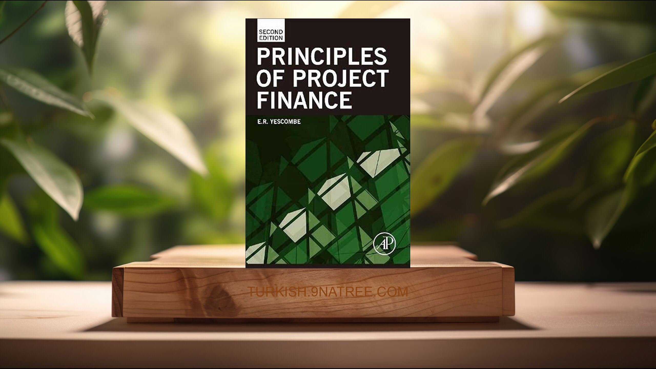 [İncelemesi] Principles of Project Finance (E. R. Yescombe) Özeti.