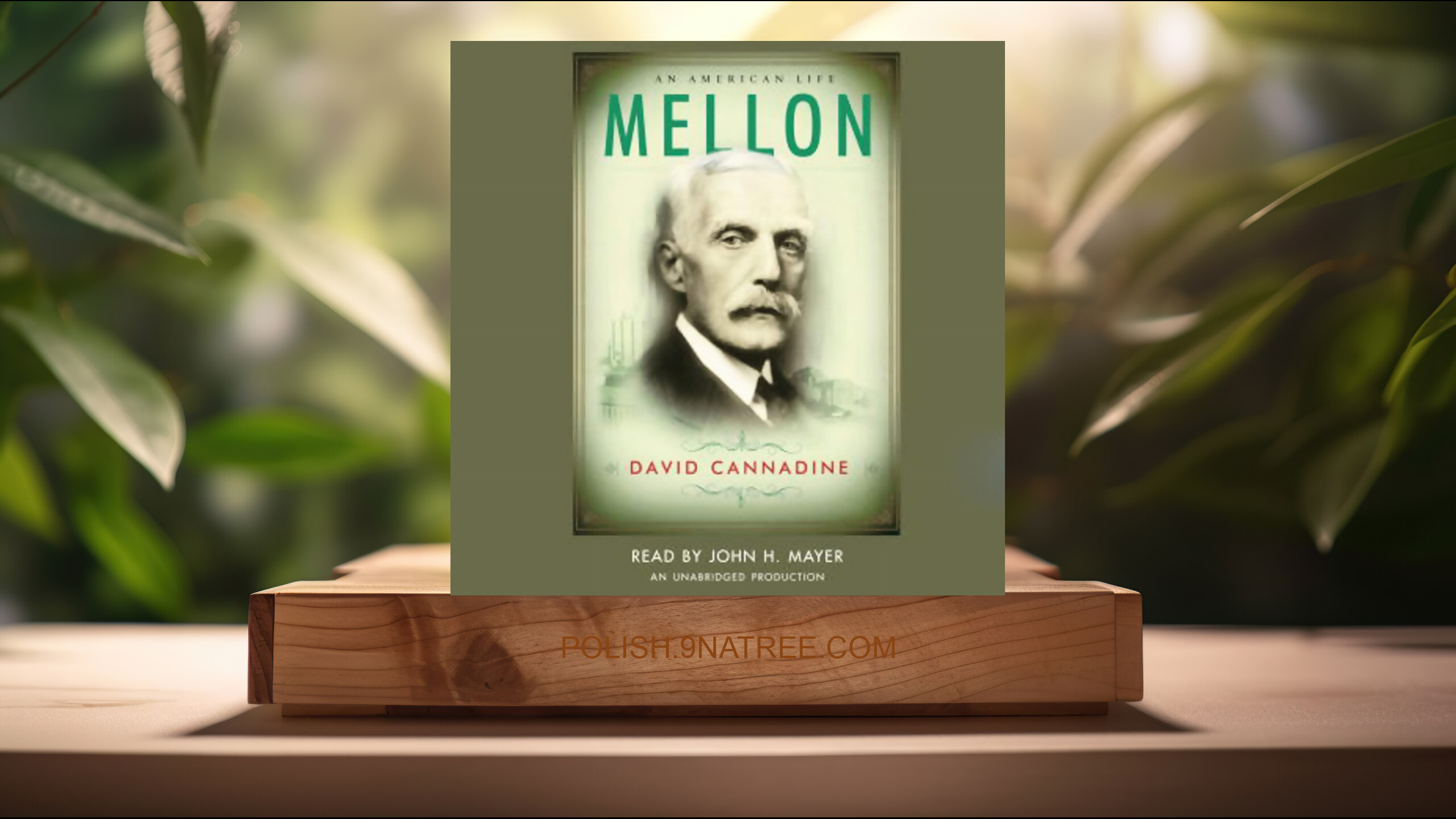 [Recenzja] Mellon: An American Life (David Cannadine) Streszczenie.