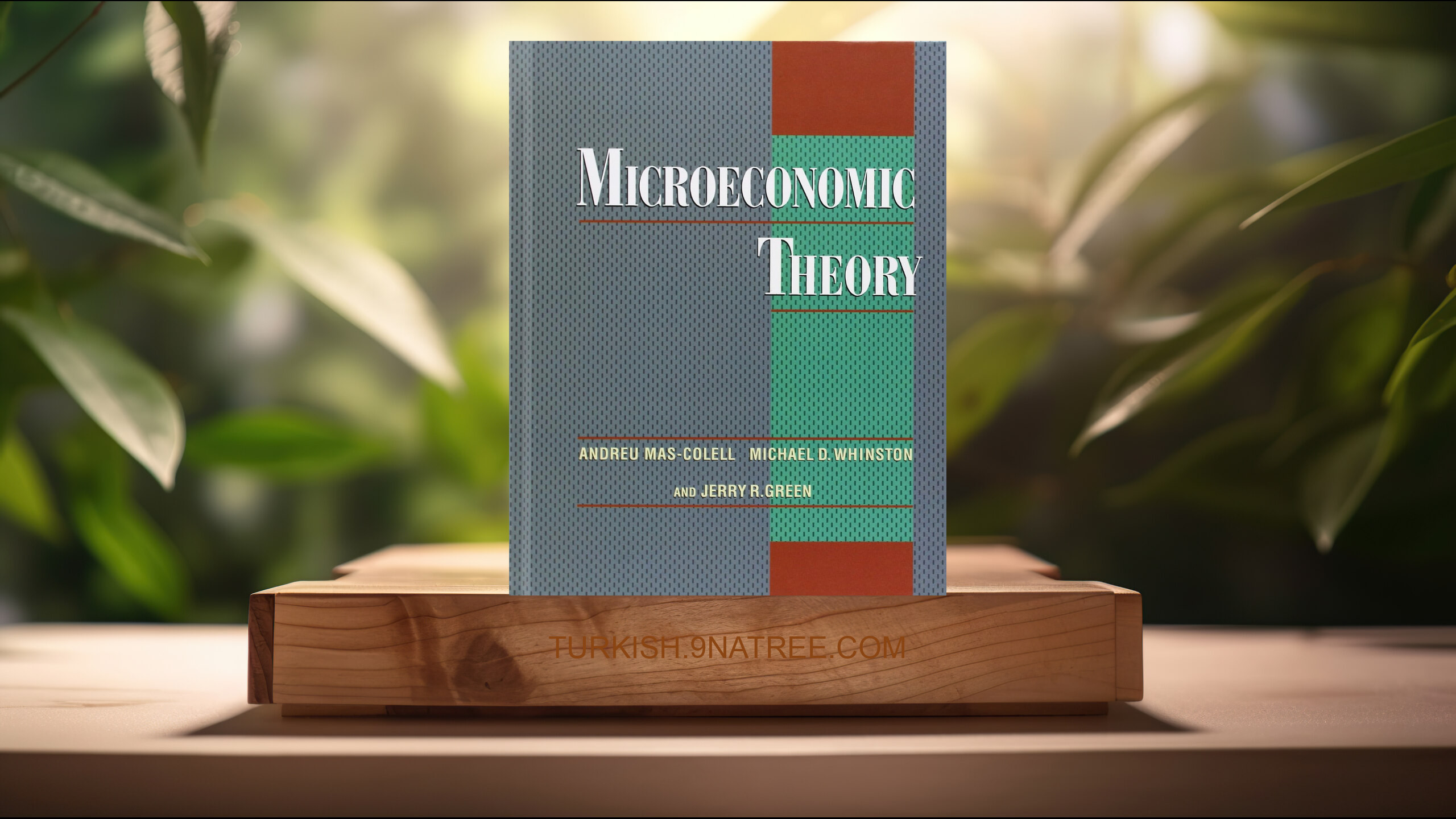[İncelemesi] Microeconomic Theory (Andreu Mas-Colell) Özeti.
