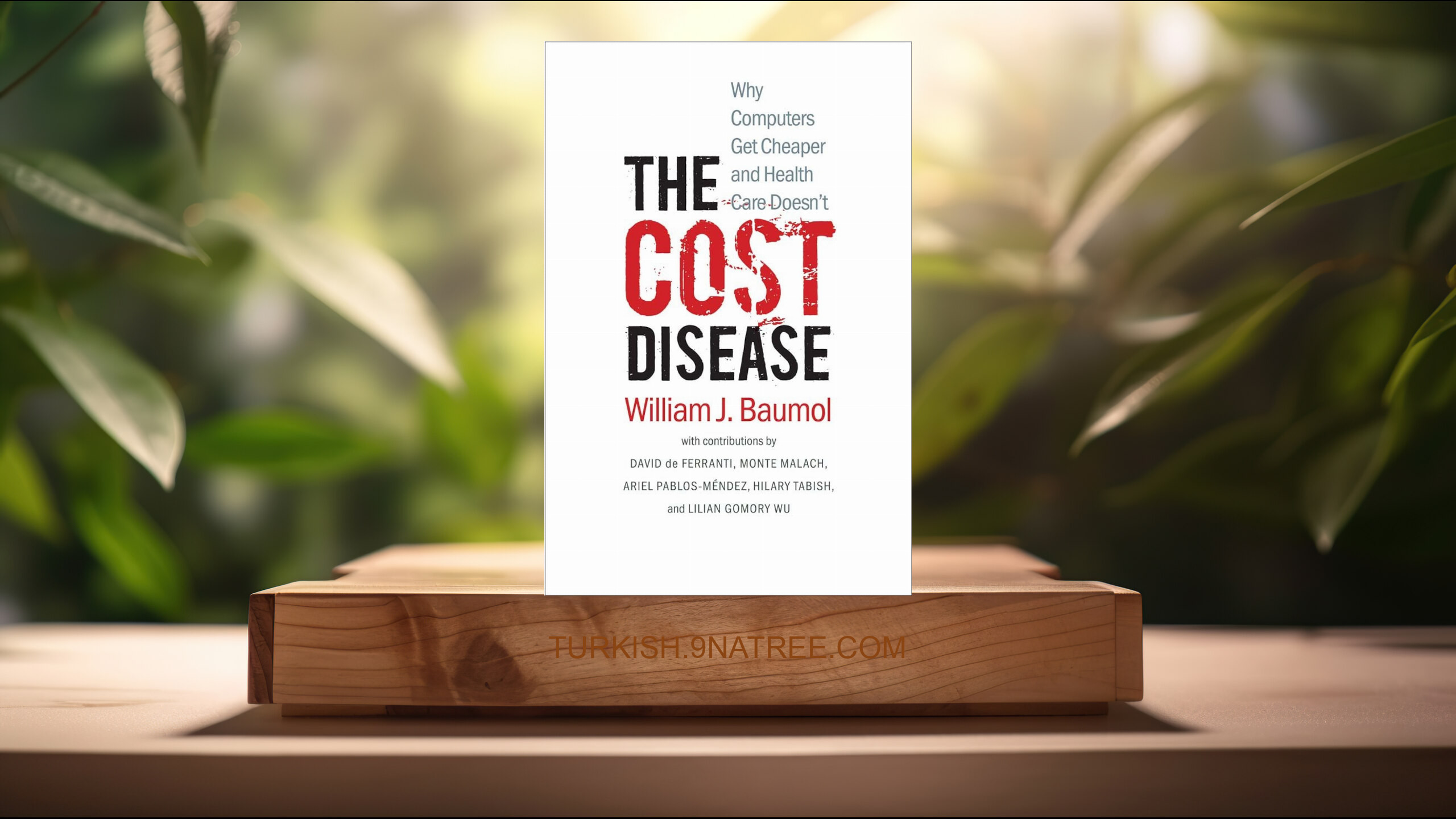 [İncelemesi] The Cost Disease (William J. Baumol) Özeti.