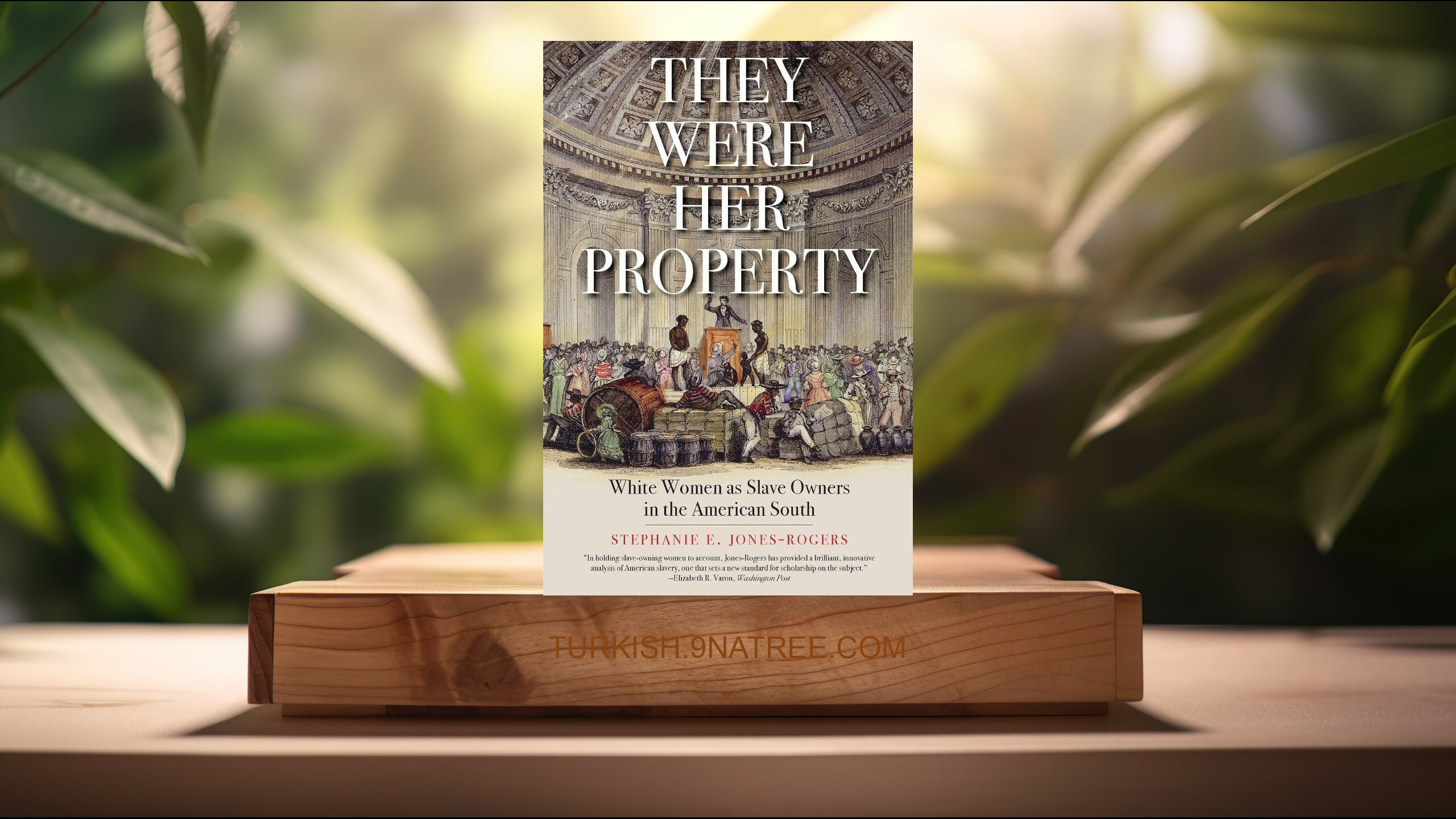 [İncelemesi] They Were Her Property (Stephanie E. Jones-Rogers) Özeti.