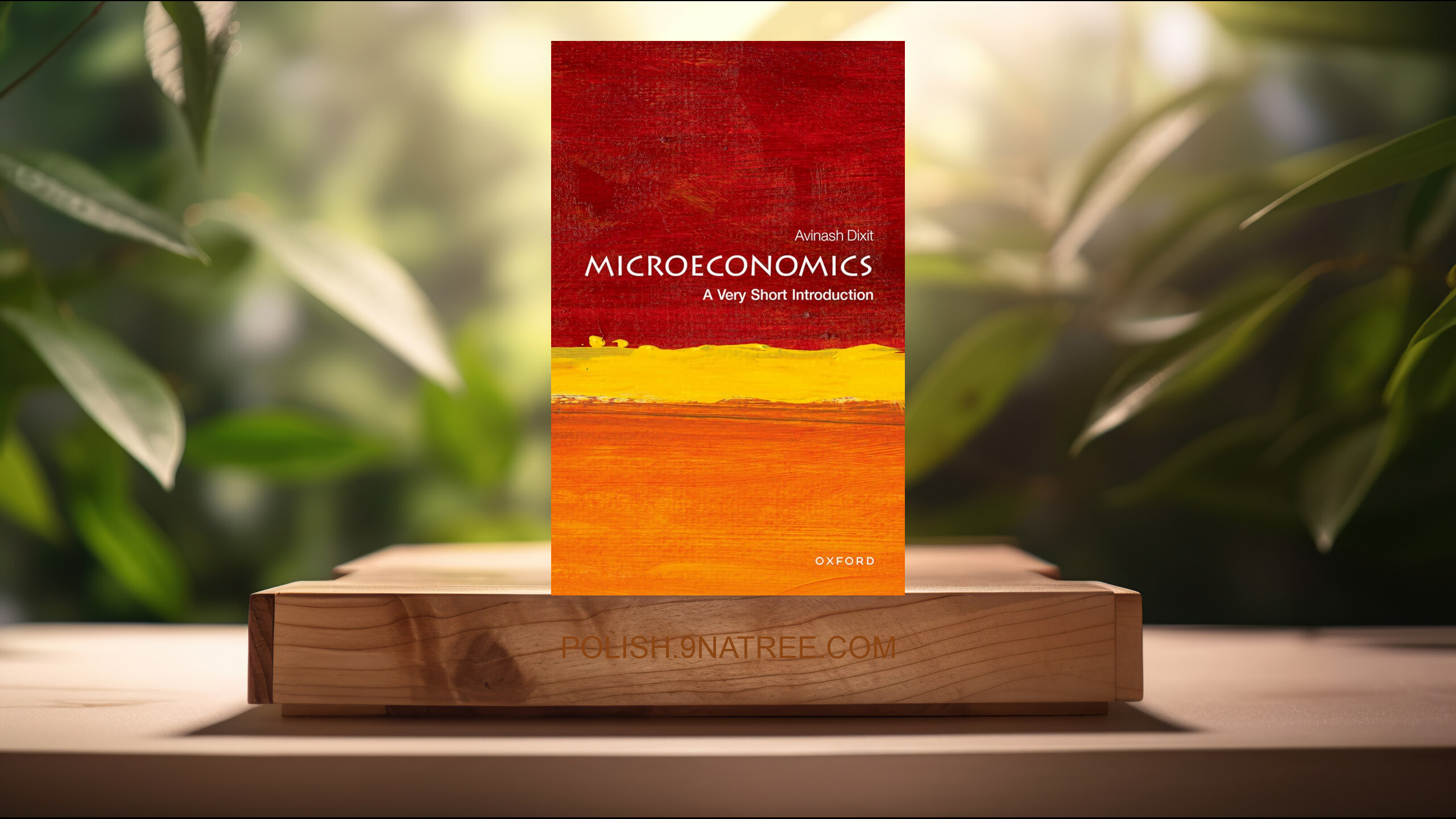 [Recenzja] Microeconomics: A Very Short Introduction  (Avinash Dixit) Streszczenie.