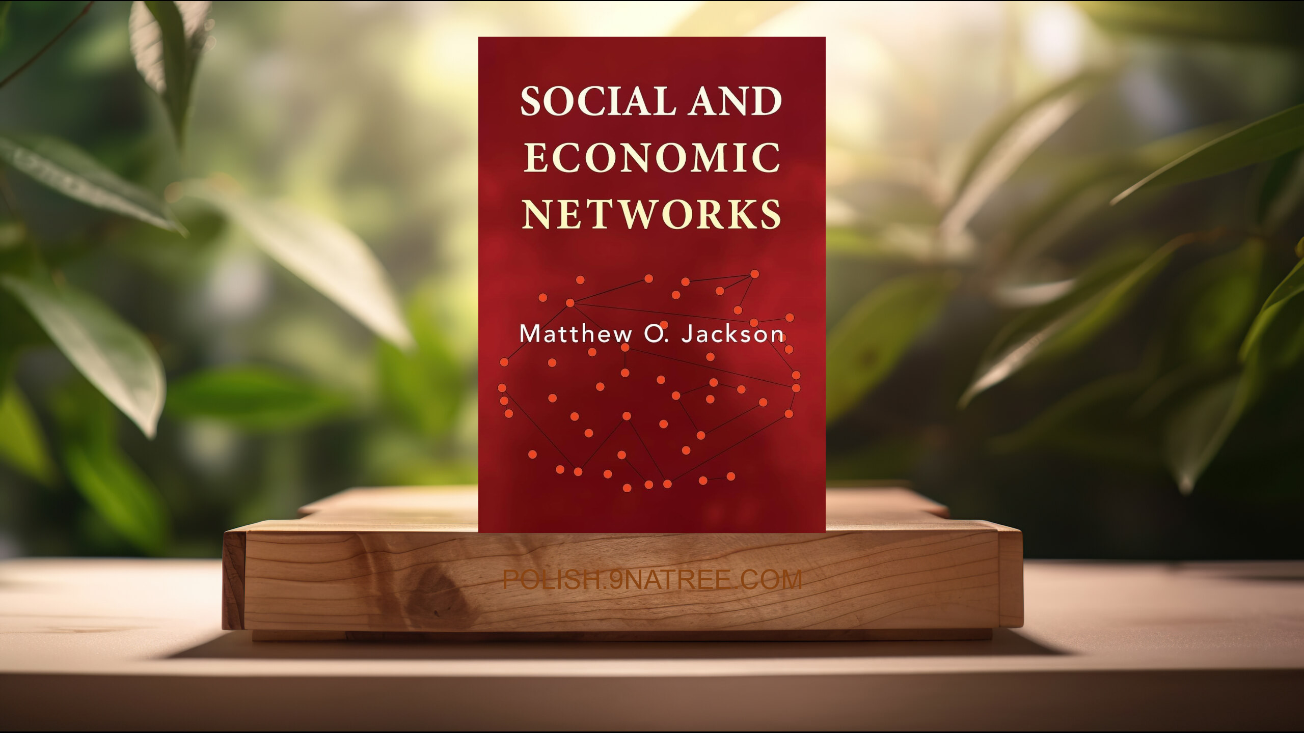 [Recenzja] Social and Economic Networks (Matthew O. Jackson) Streszczenie.