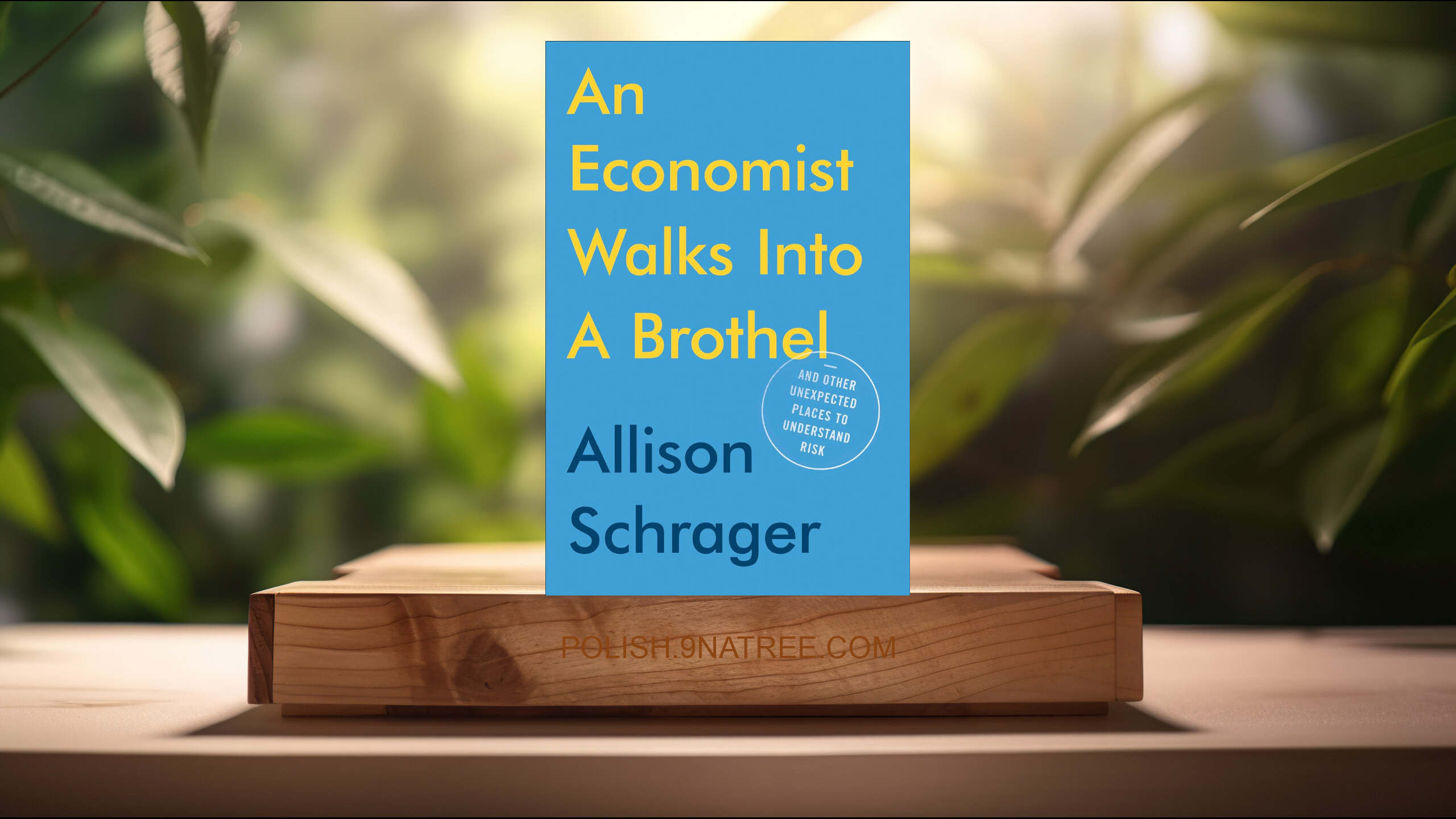 [Recenzja] An Economist Walks into a Brothel (Allison Schrager) Streszczenie.