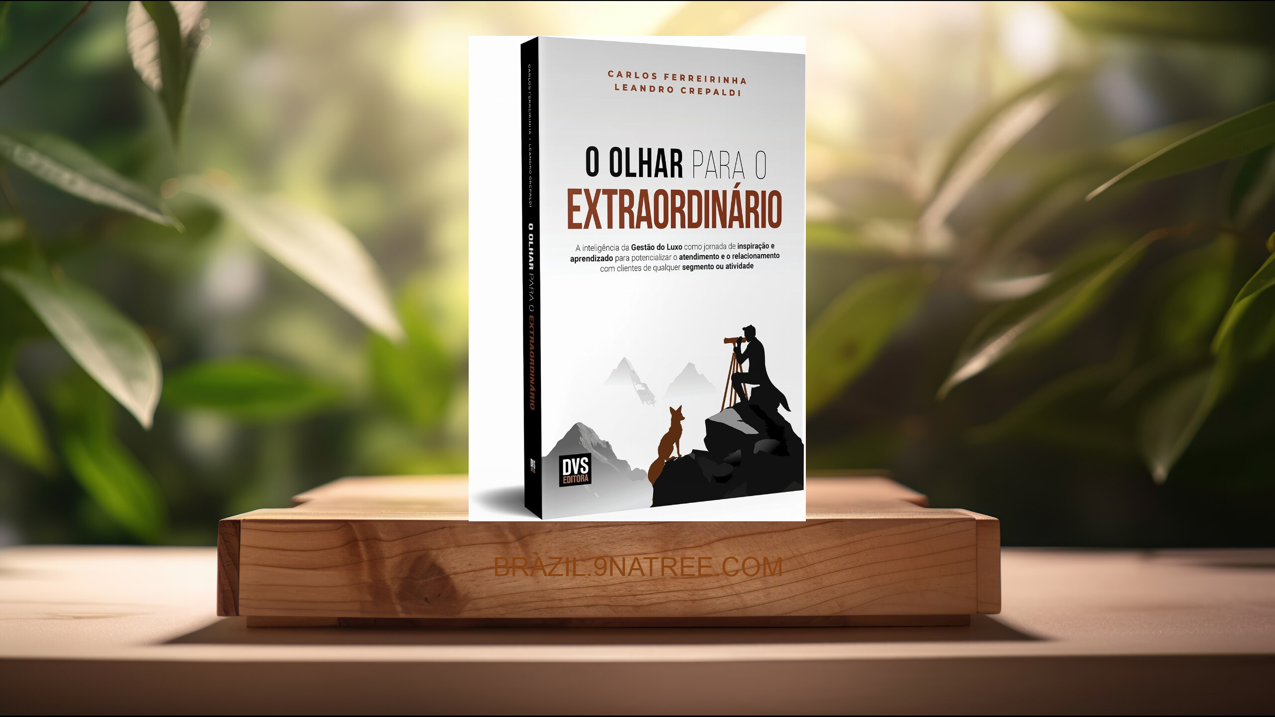 [Análises] O Olhar para o Extraordinário (Carlos Ferreirinha) Resumidos.